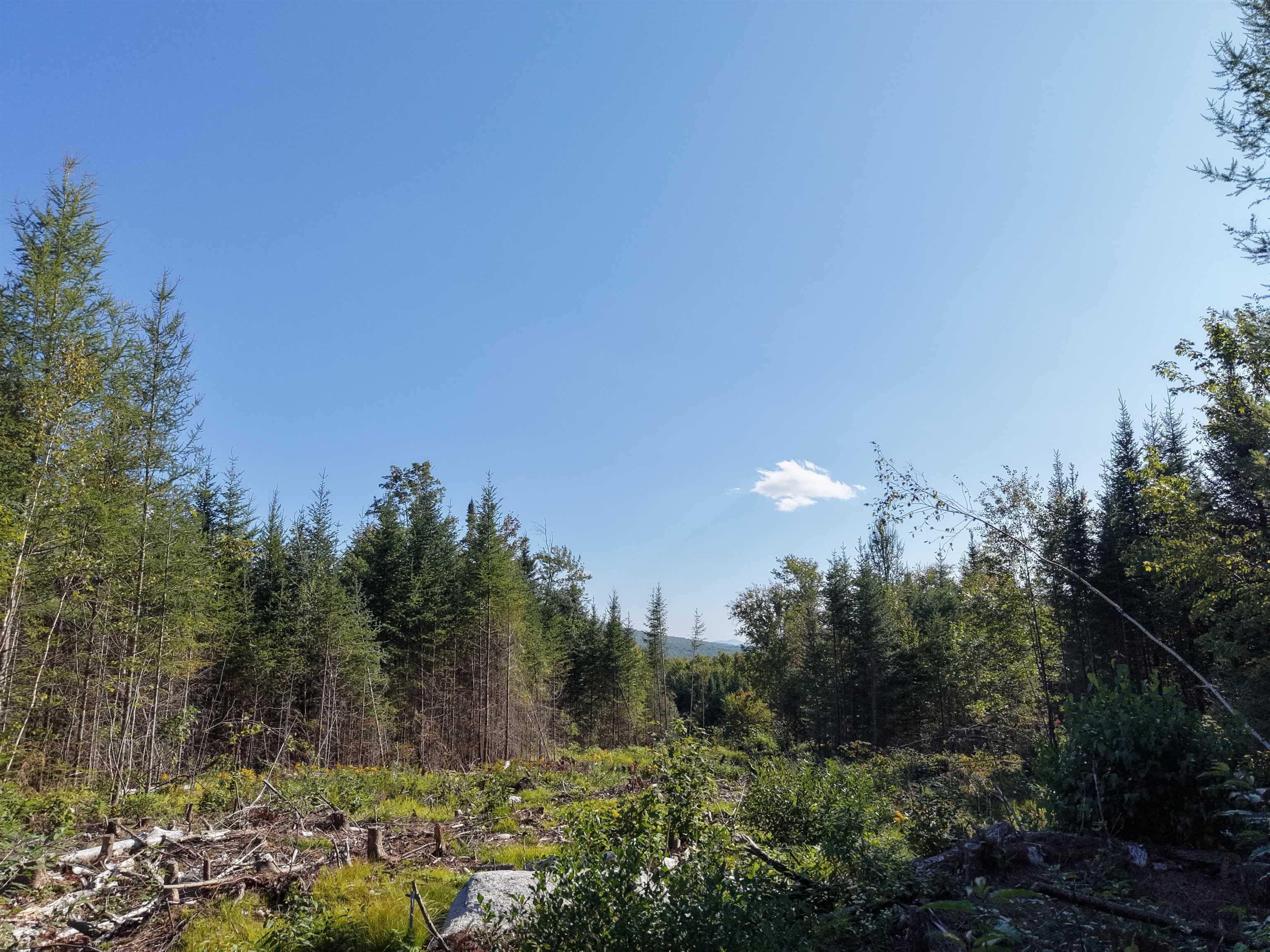 0000 Morin Road photo 9