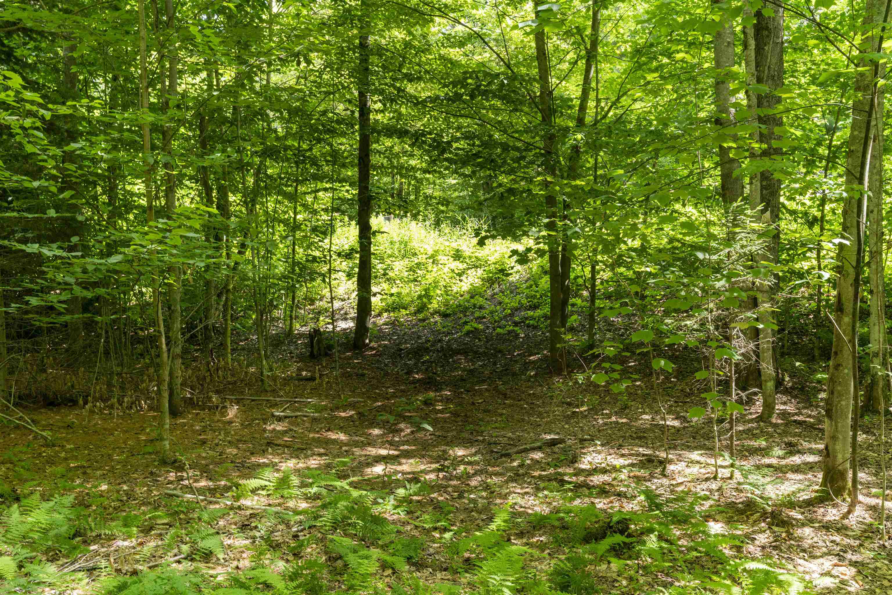 near TBD Route 100 Duxbury, VT 05660 Property 2