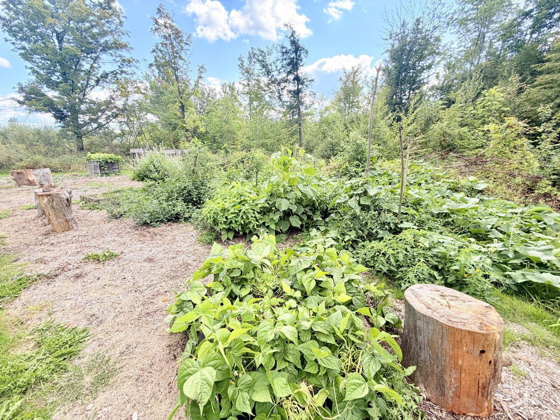 839 Robitaille Road photo 44