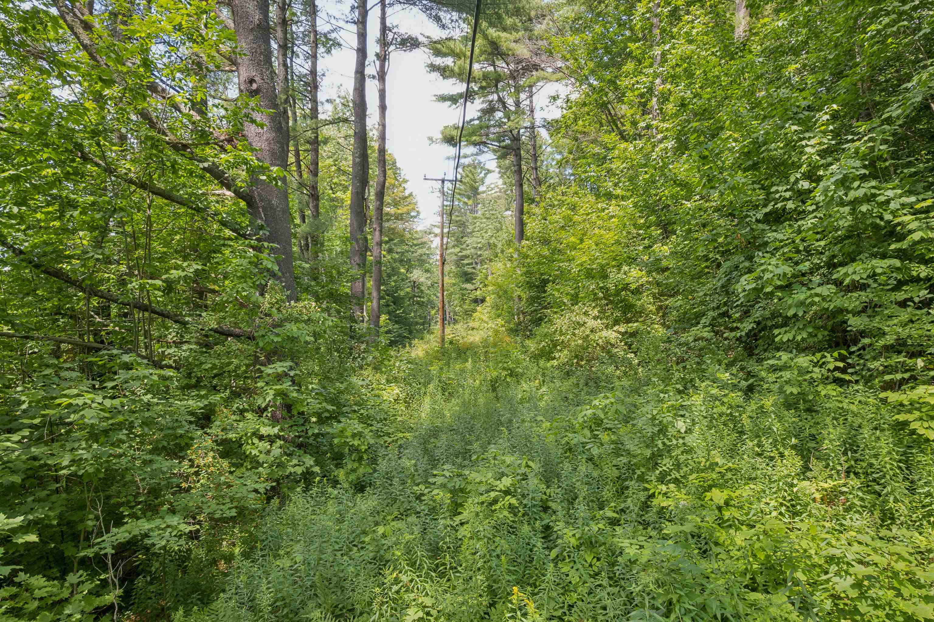 0 VT Rte 12 photo 6