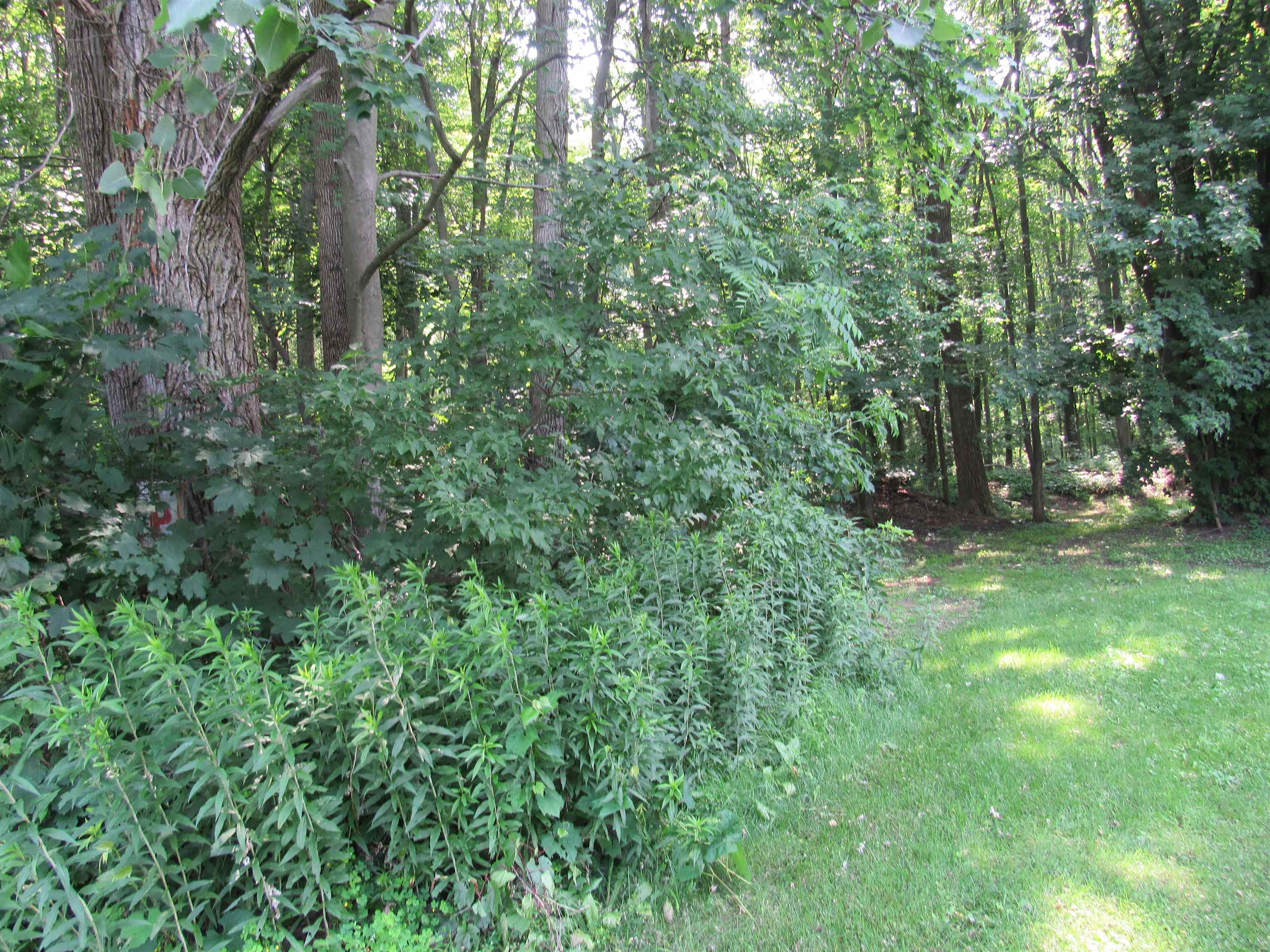 near 49 Park Street Highgate, VT 05459 Property 3
