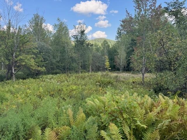 near 223 Deming Road Enosburg, VT 05450 Property 1