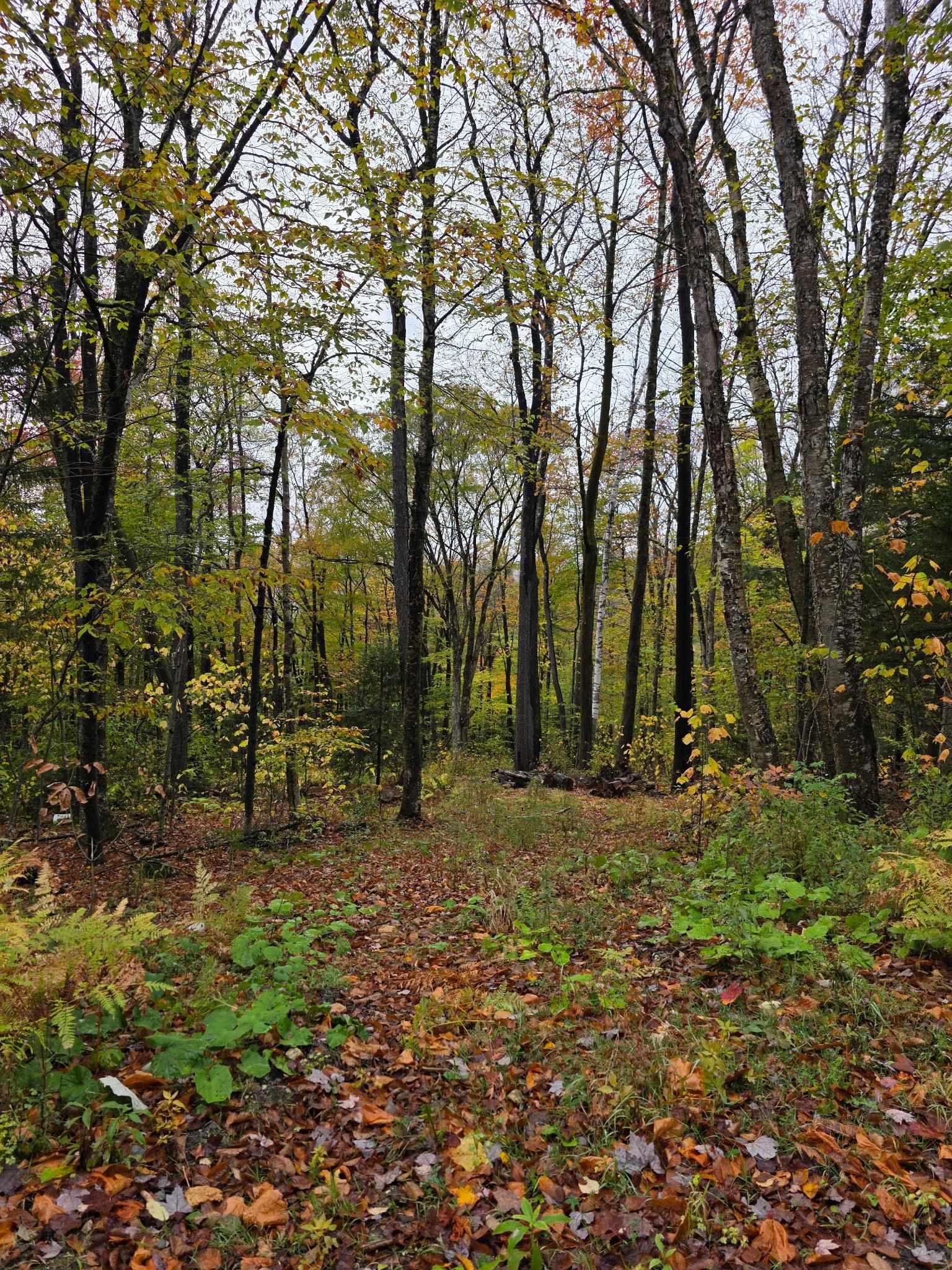 near Oberhugel Road Readsboro, VT 05350 Property 1
