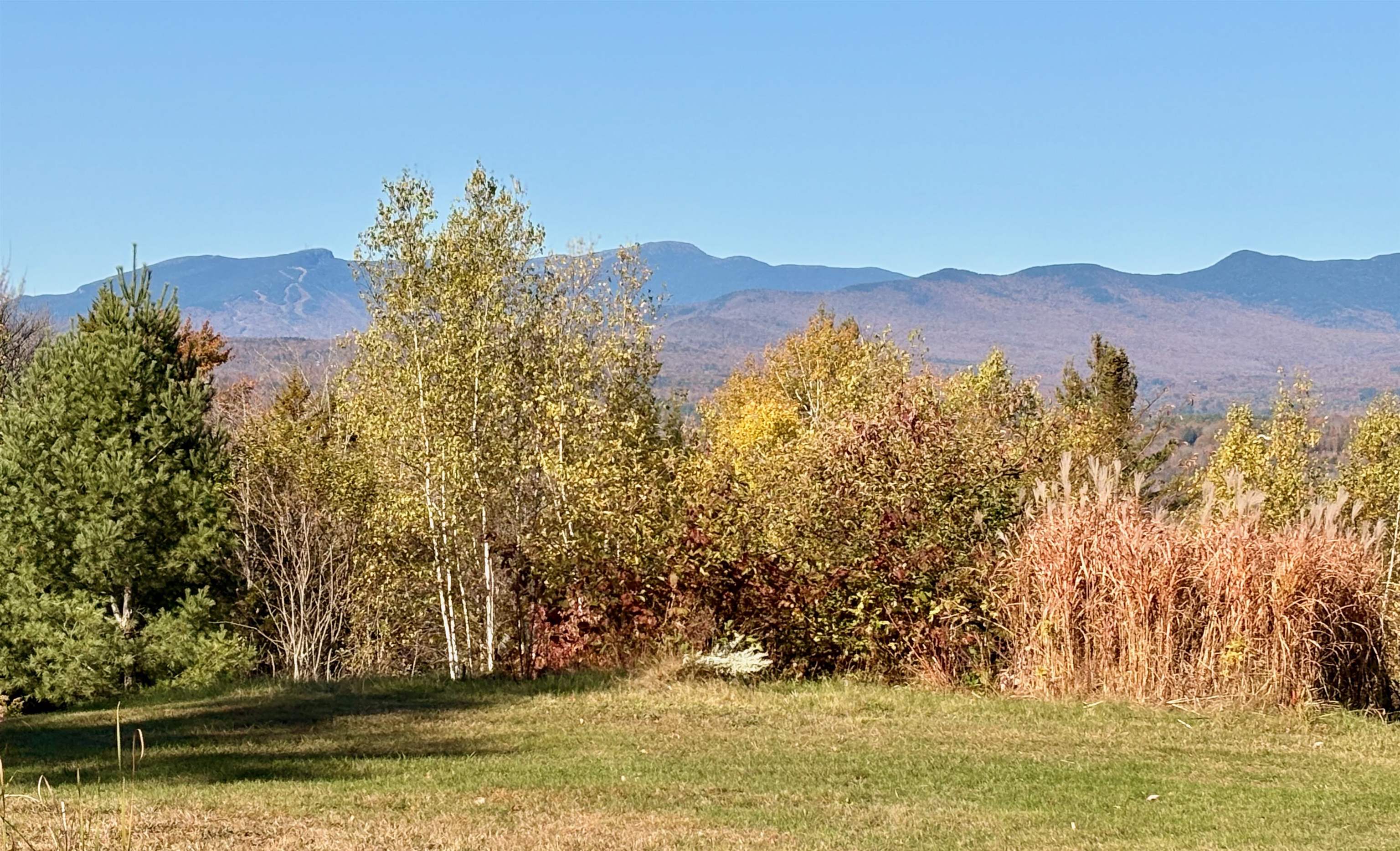 700 Small Farm Road photo 24