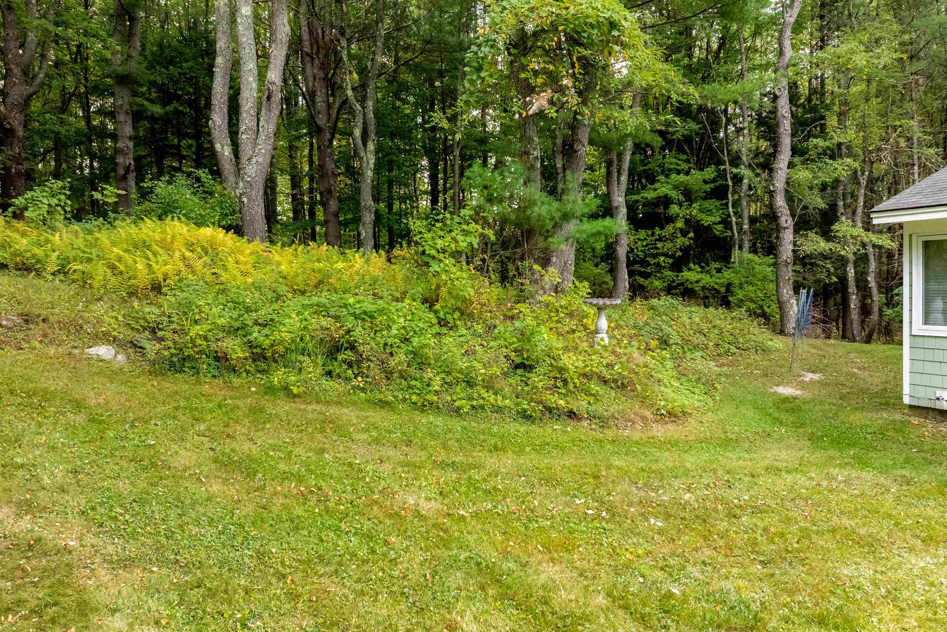 207 Westwood Drive photo 39