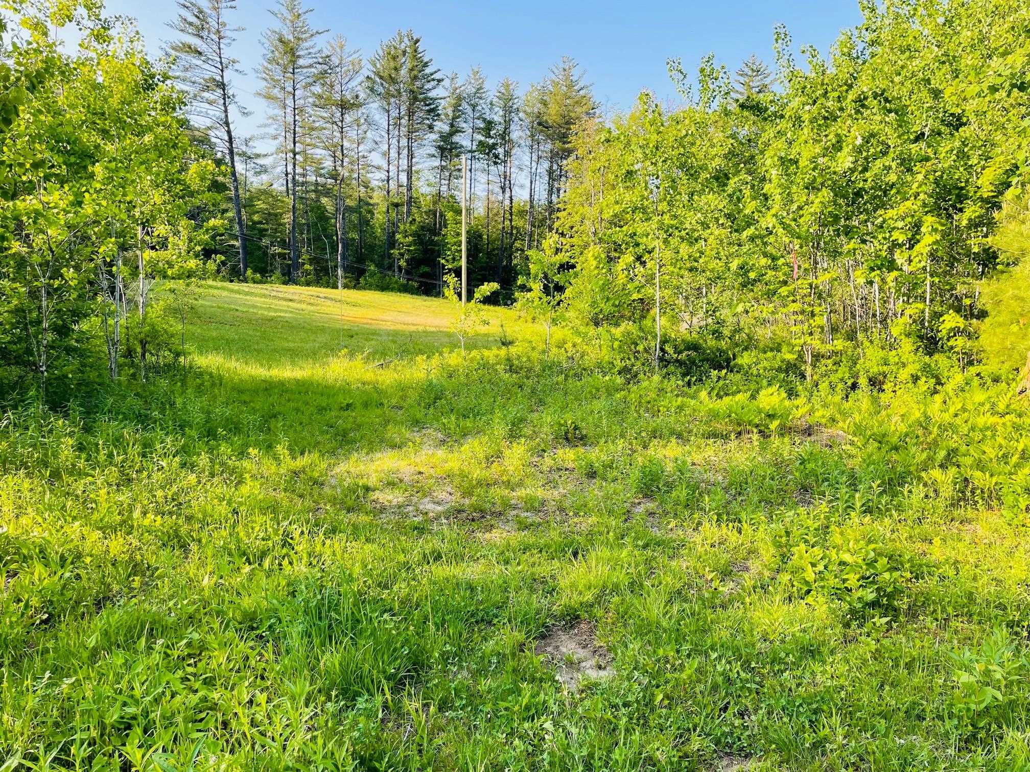 4769 Pikes Falls Road Jamaica, VT 05143 | MLS 4970303 | Pall Spera