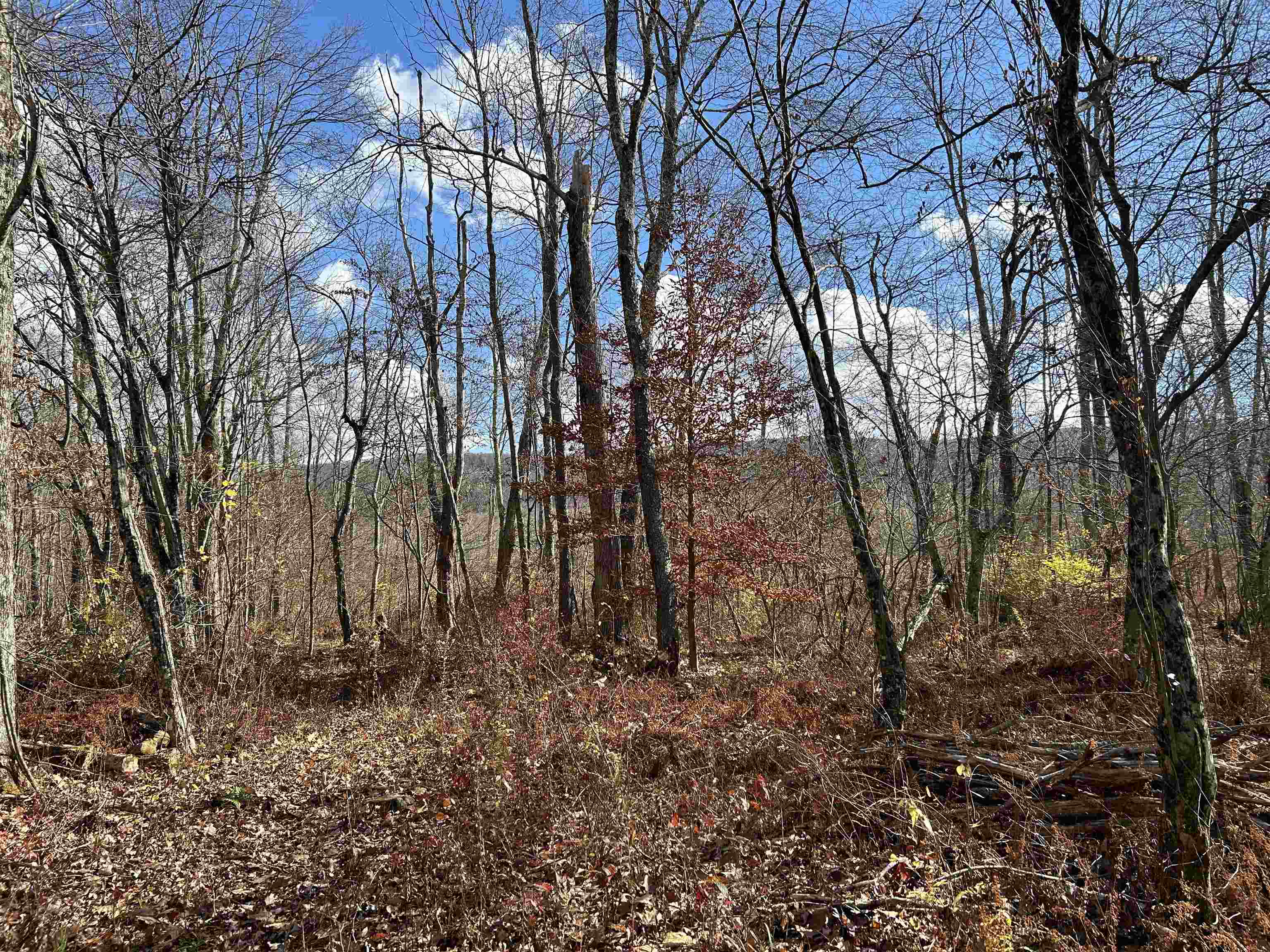 near 170 Gore Road Bennington, VT 05201 Property 2