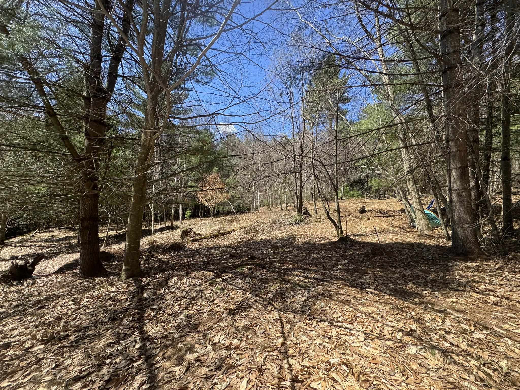 near 227 Dukes Road Johnson, VT 05656 Property 2