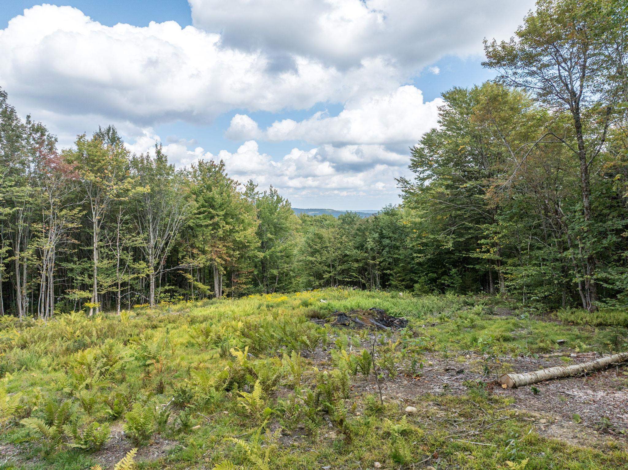 near 270 Bergabhang Drive Readsboro, VT 05350 Property 1