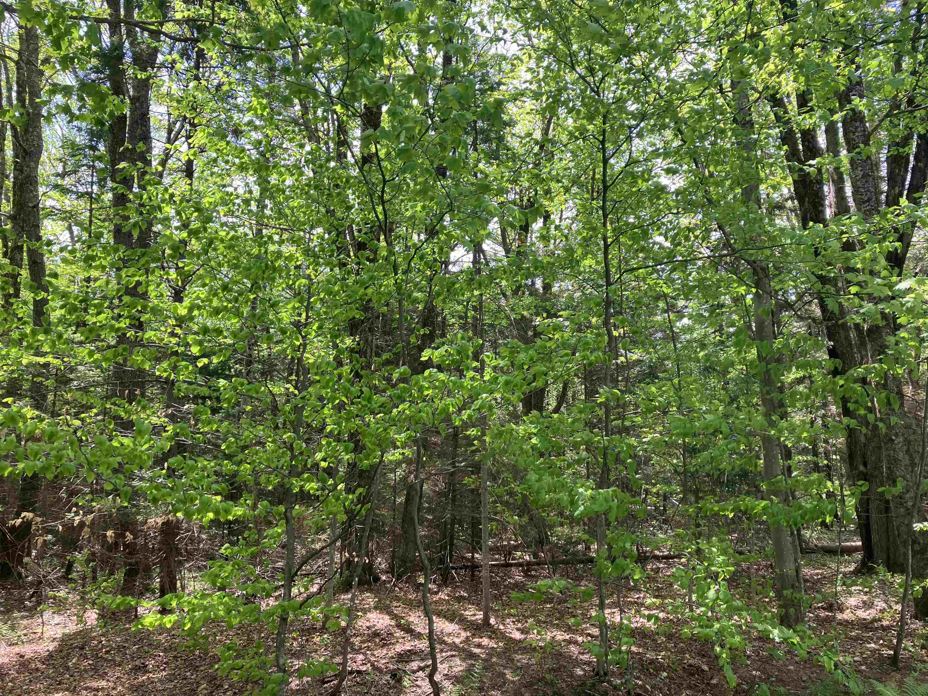 near 45 Mowing Way Wilmington, VT 05363 Property 3
