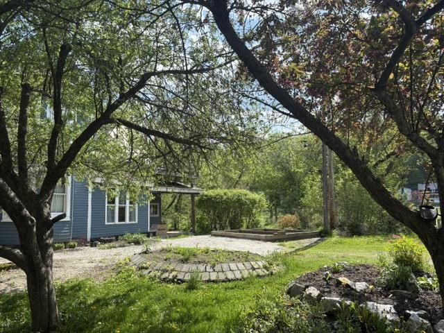 11 Maple Street photo 31