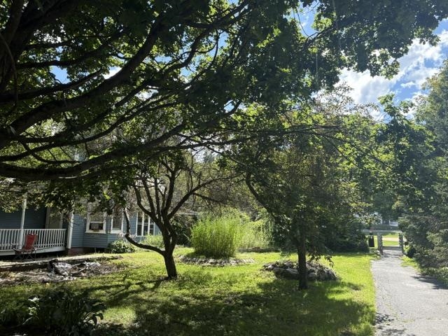 11 Maple Street photo 39