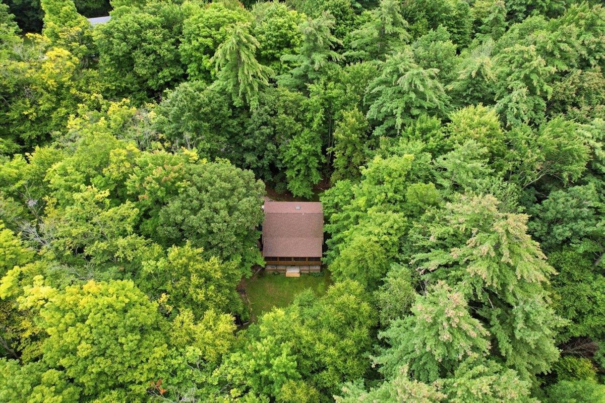 17 Forest Ridge Road photo 42