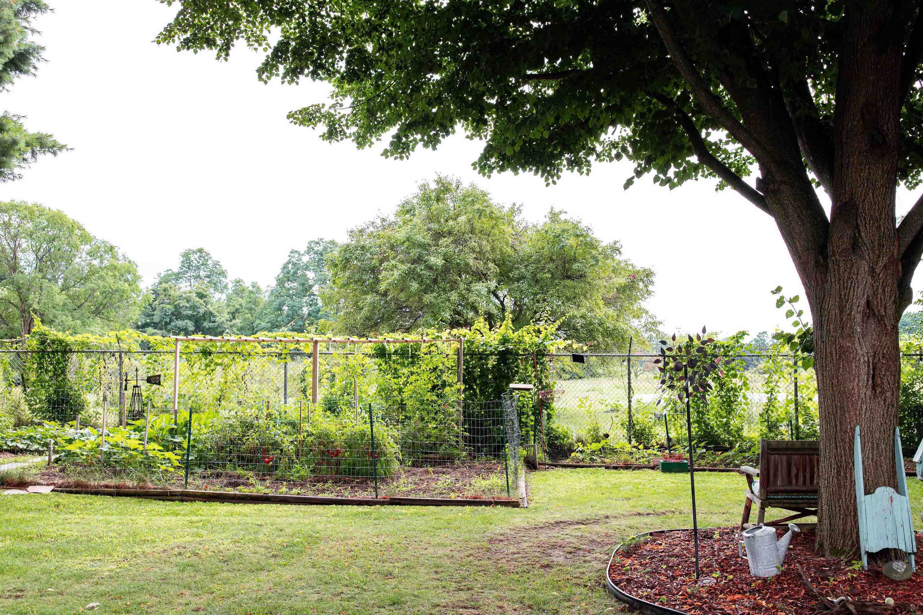 7 Sebring Road photo 6