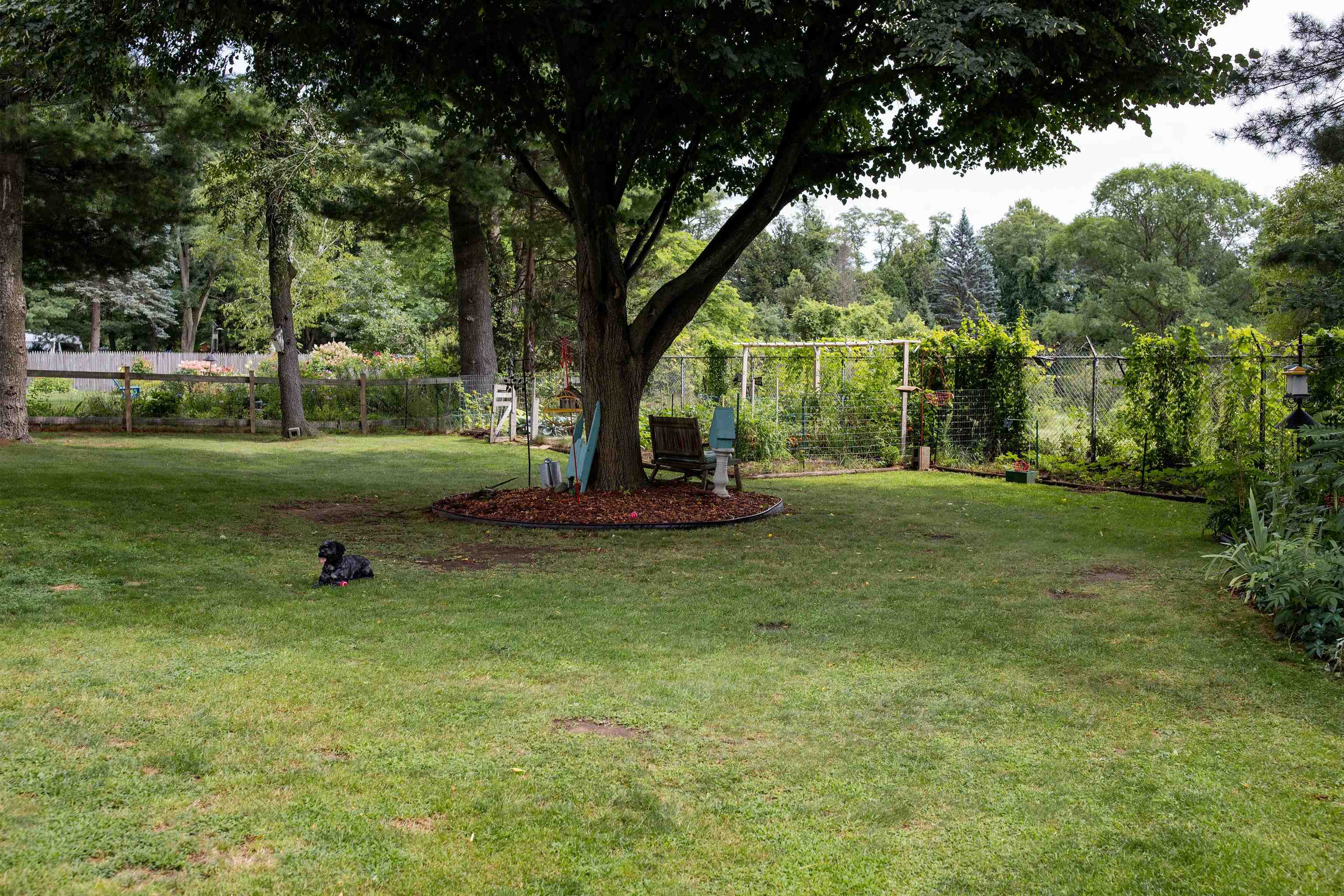 7 Sebring Road photo 7