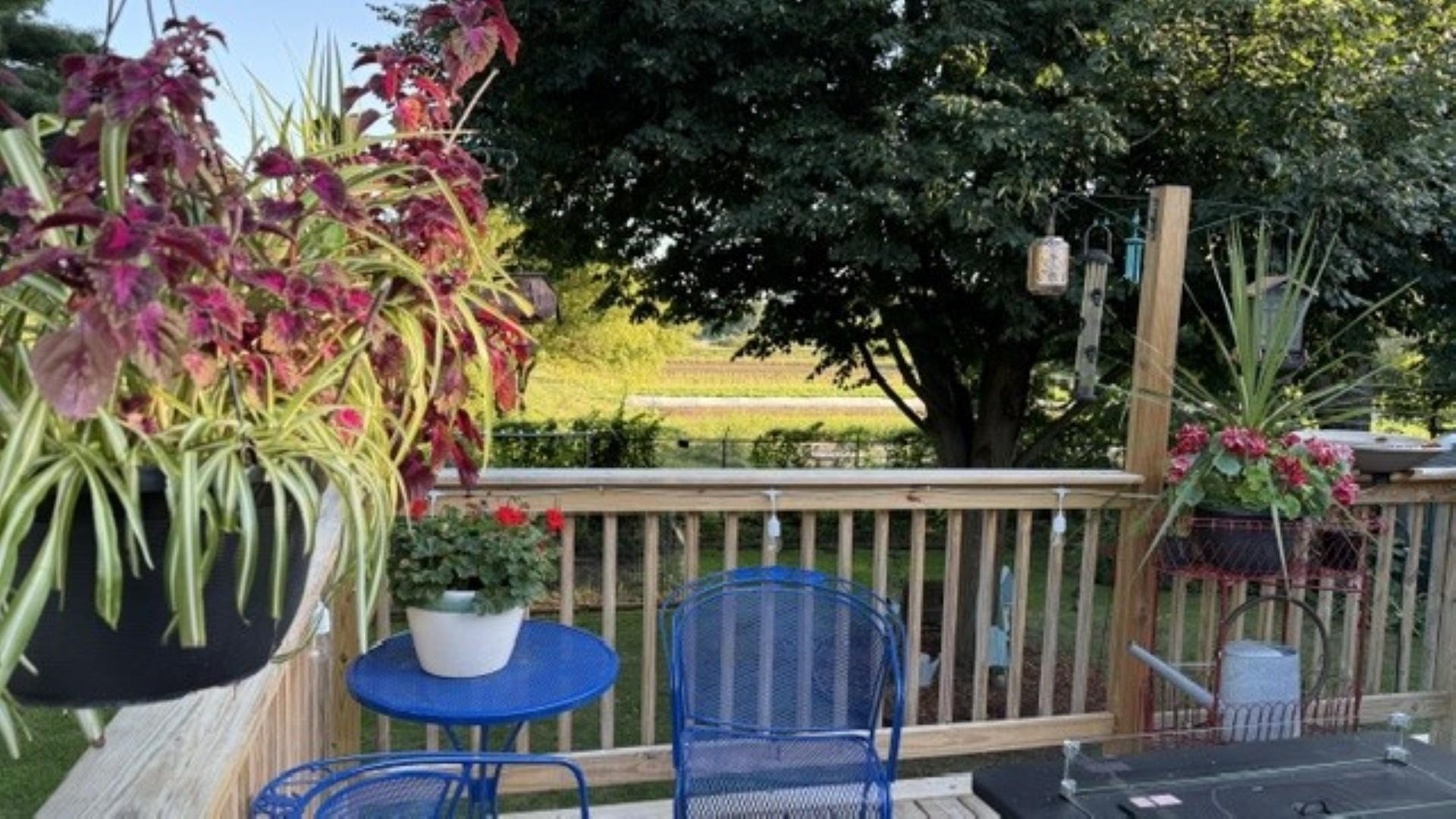 7 Sebring Road photo 9