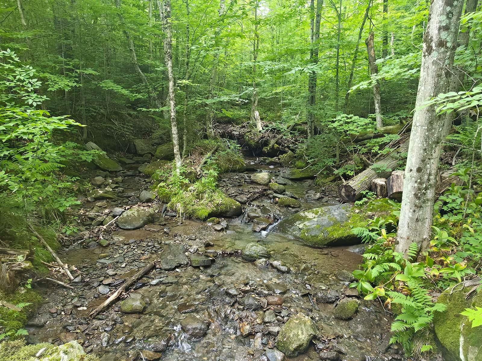 1483 Enosburg Mountain Road photo 41