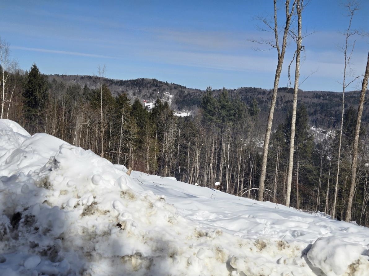 near 00 Chateauguay Road Barnard, VT 05031 Property 2