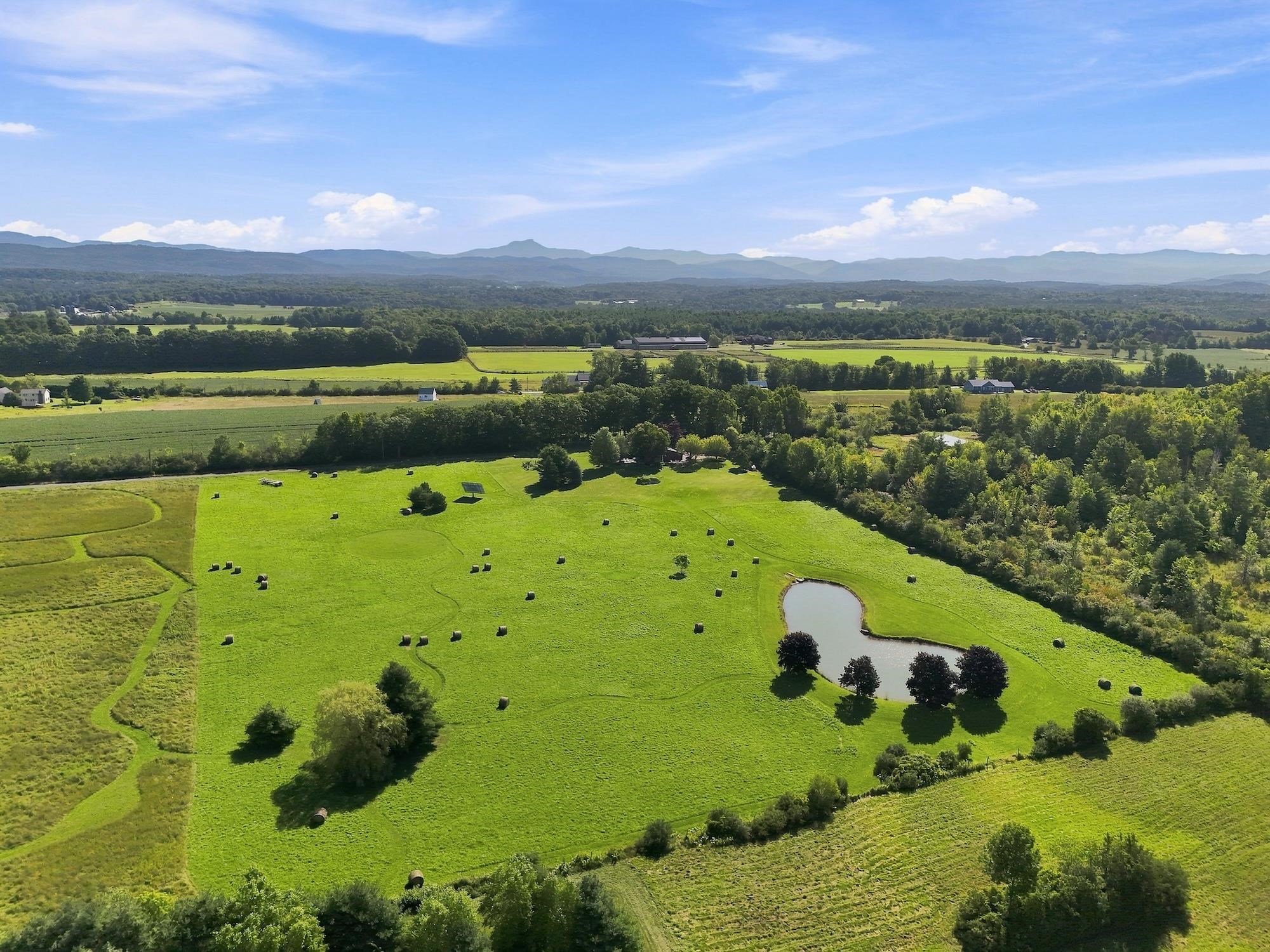 790 Lime Kiln Road photo 8