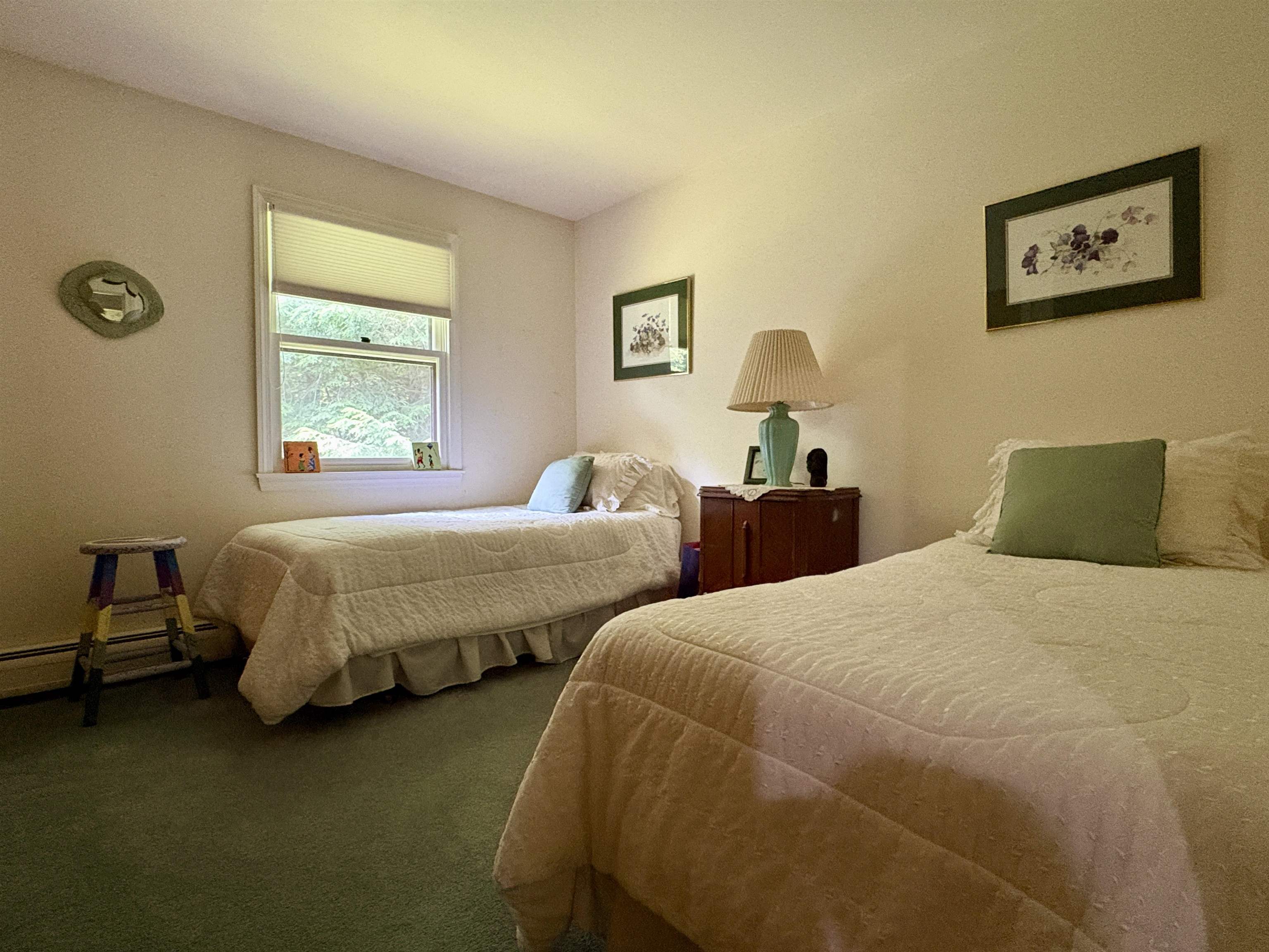301 Neal Road photo 19