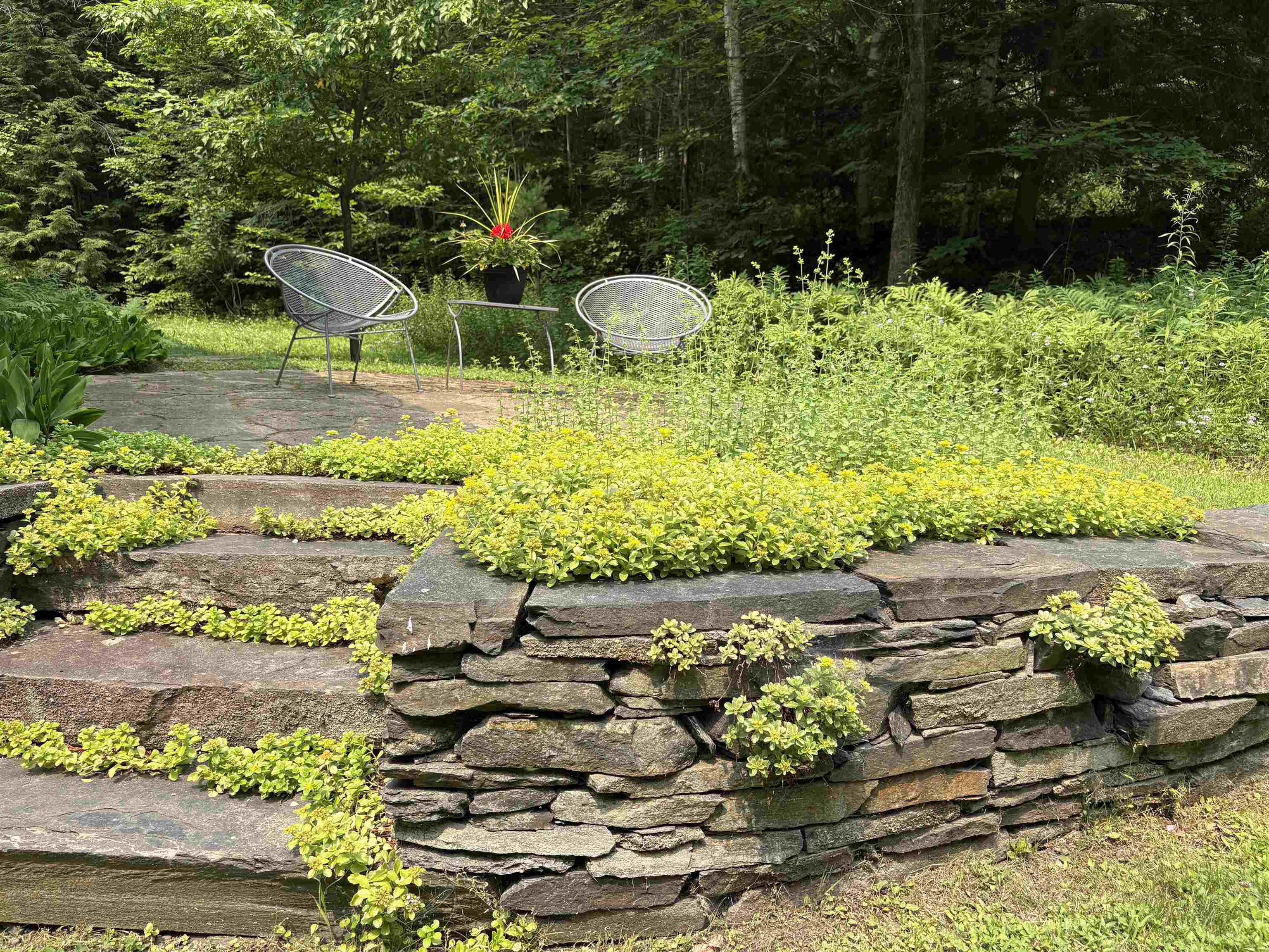 301 Neal Road photo 32