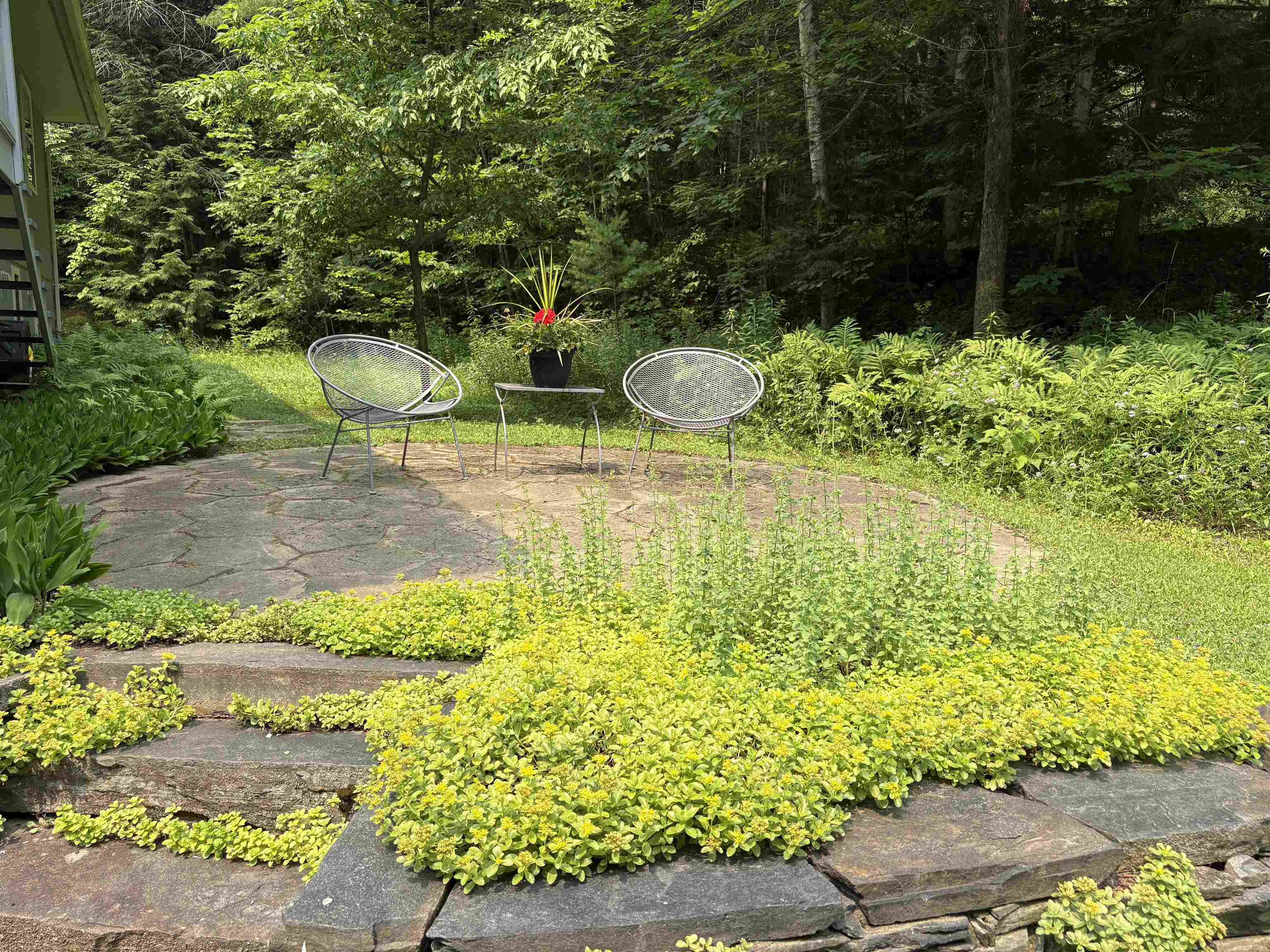 301 Neal Road photo 33
