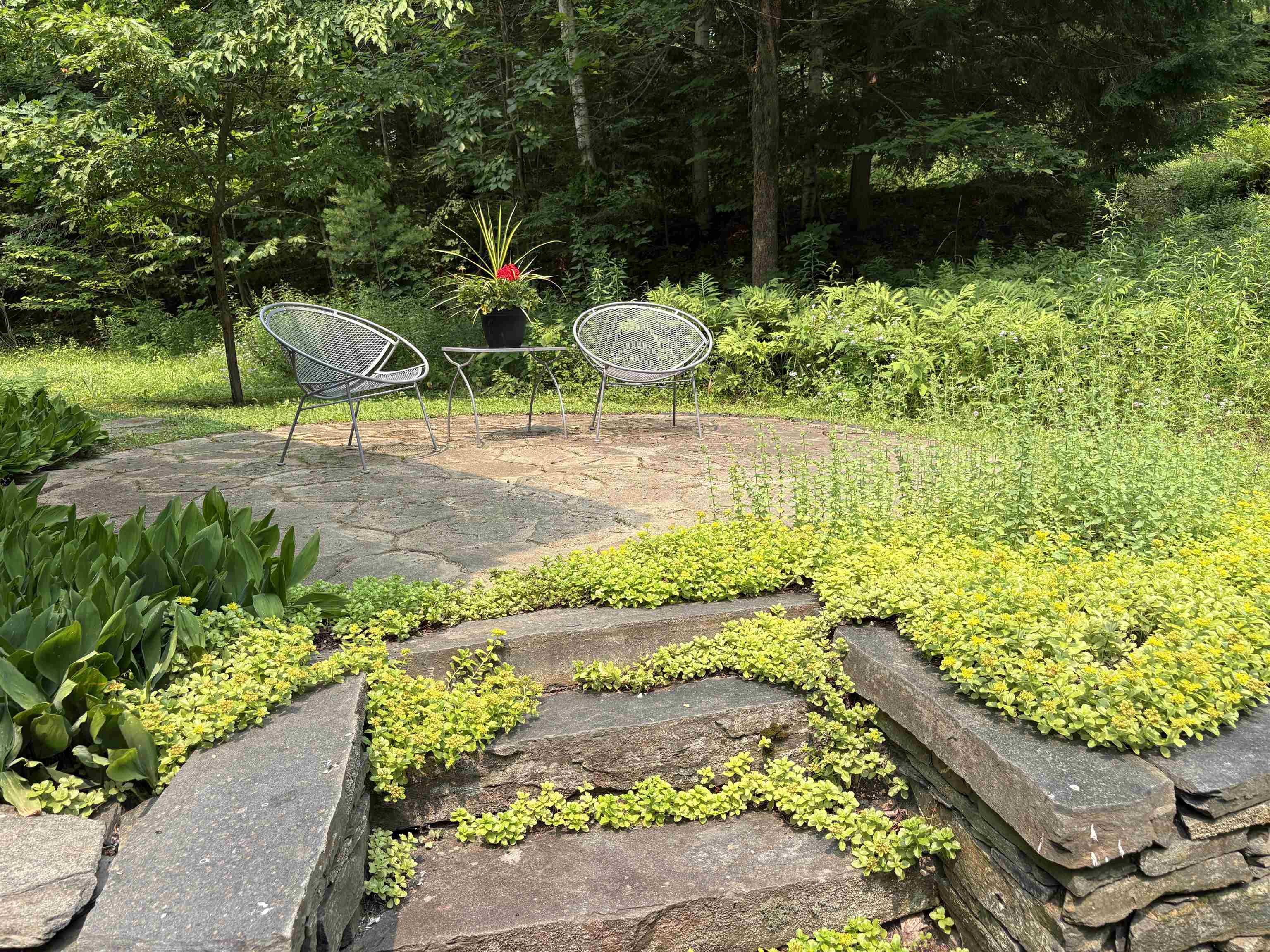 301 Neal Road photo 41