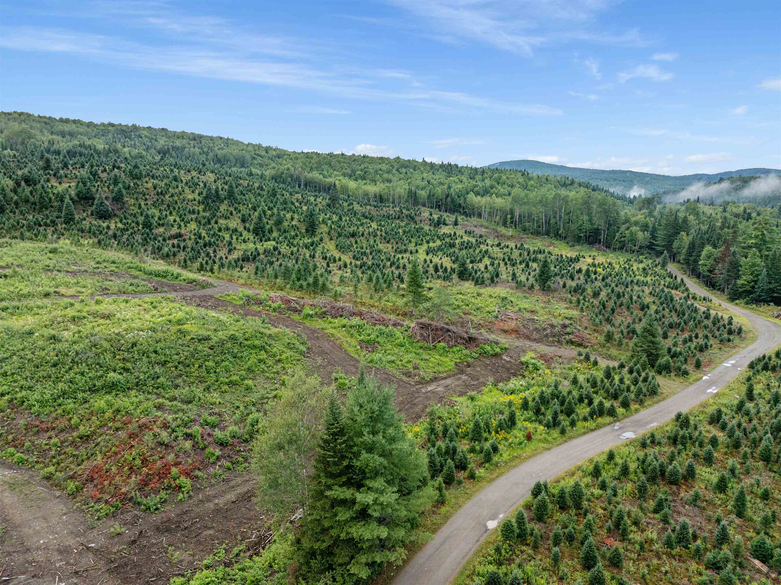 - Capon Brook Road photo 7