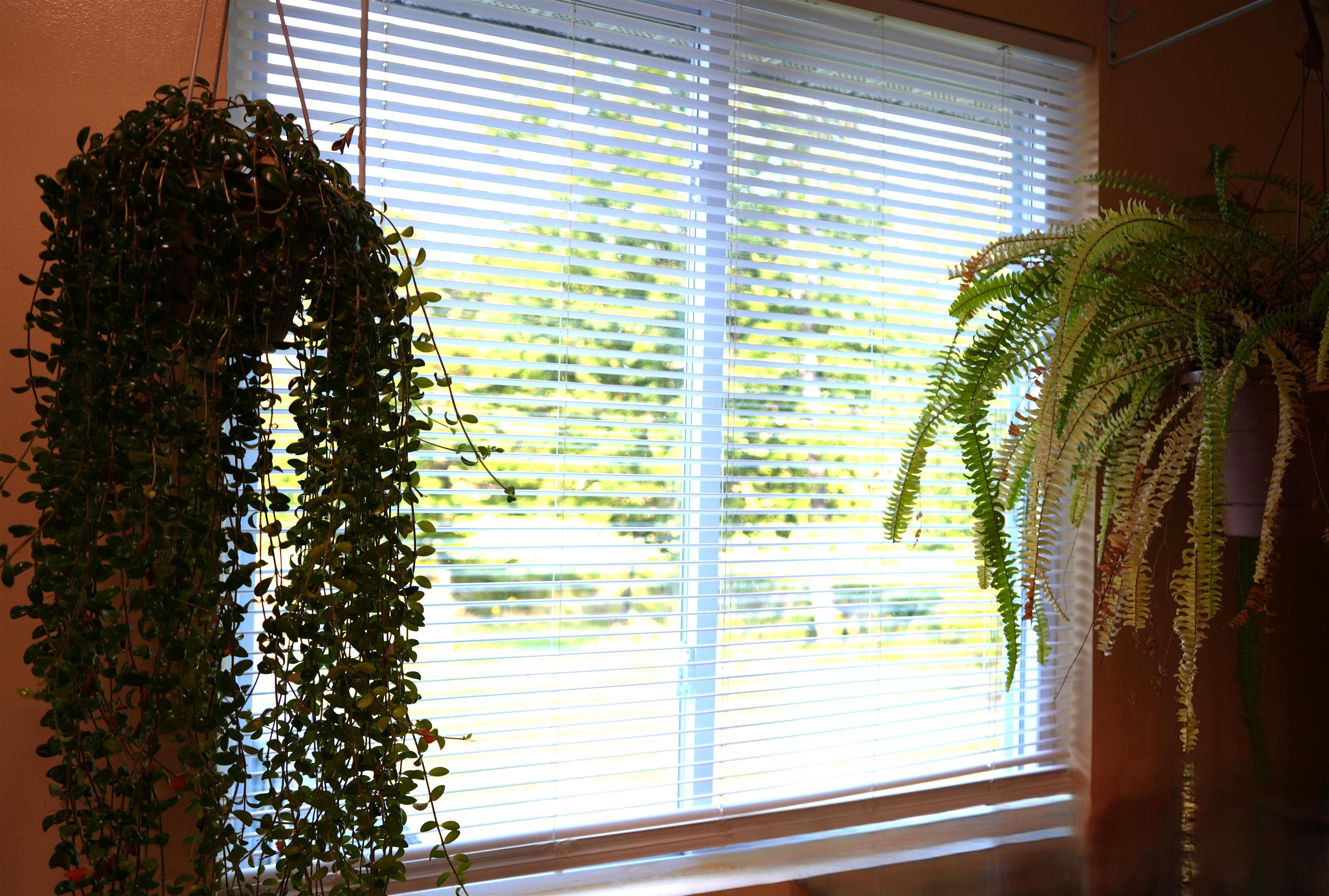1268 County Road photo 14