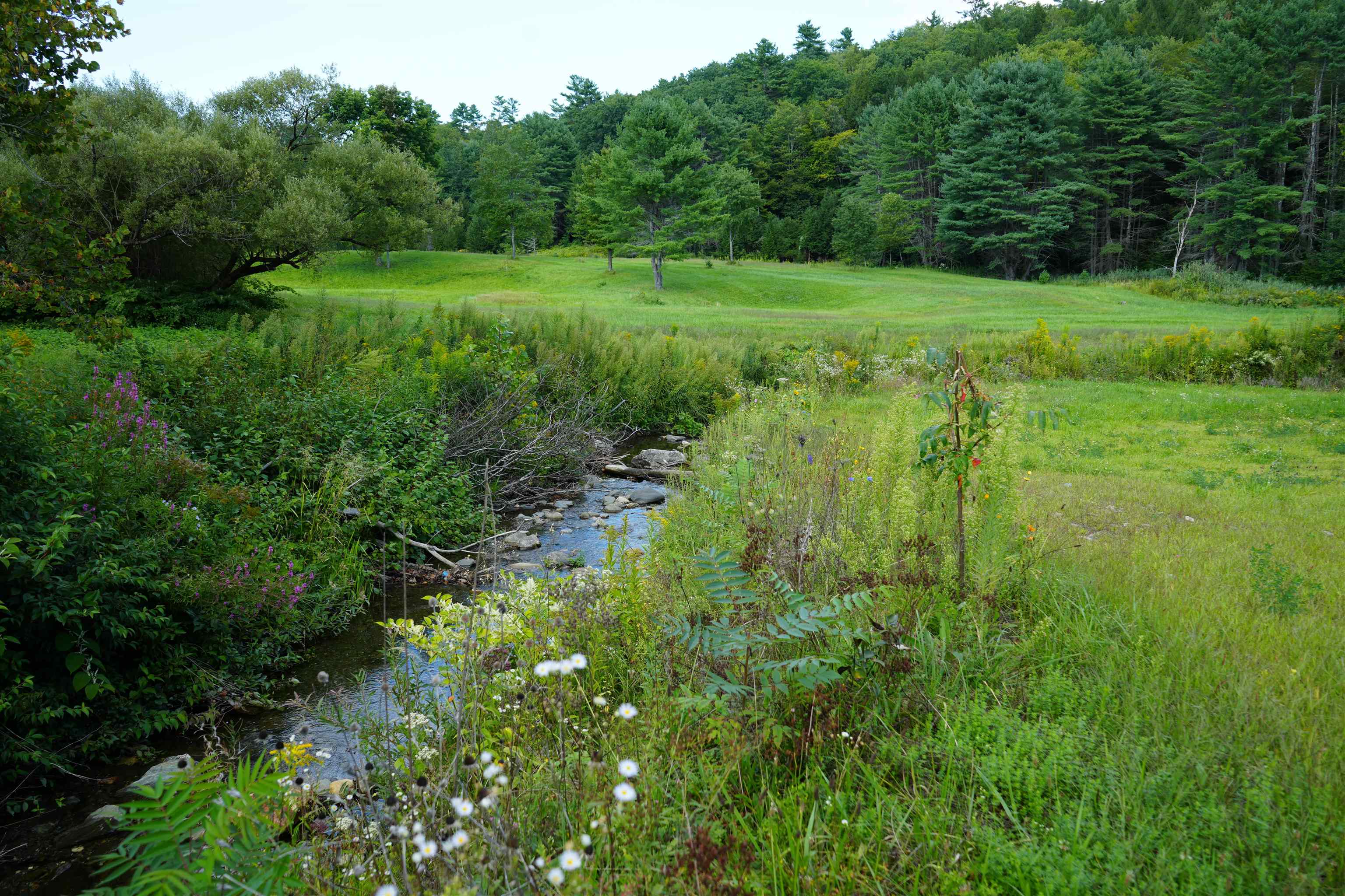1268 County Road photo 19
