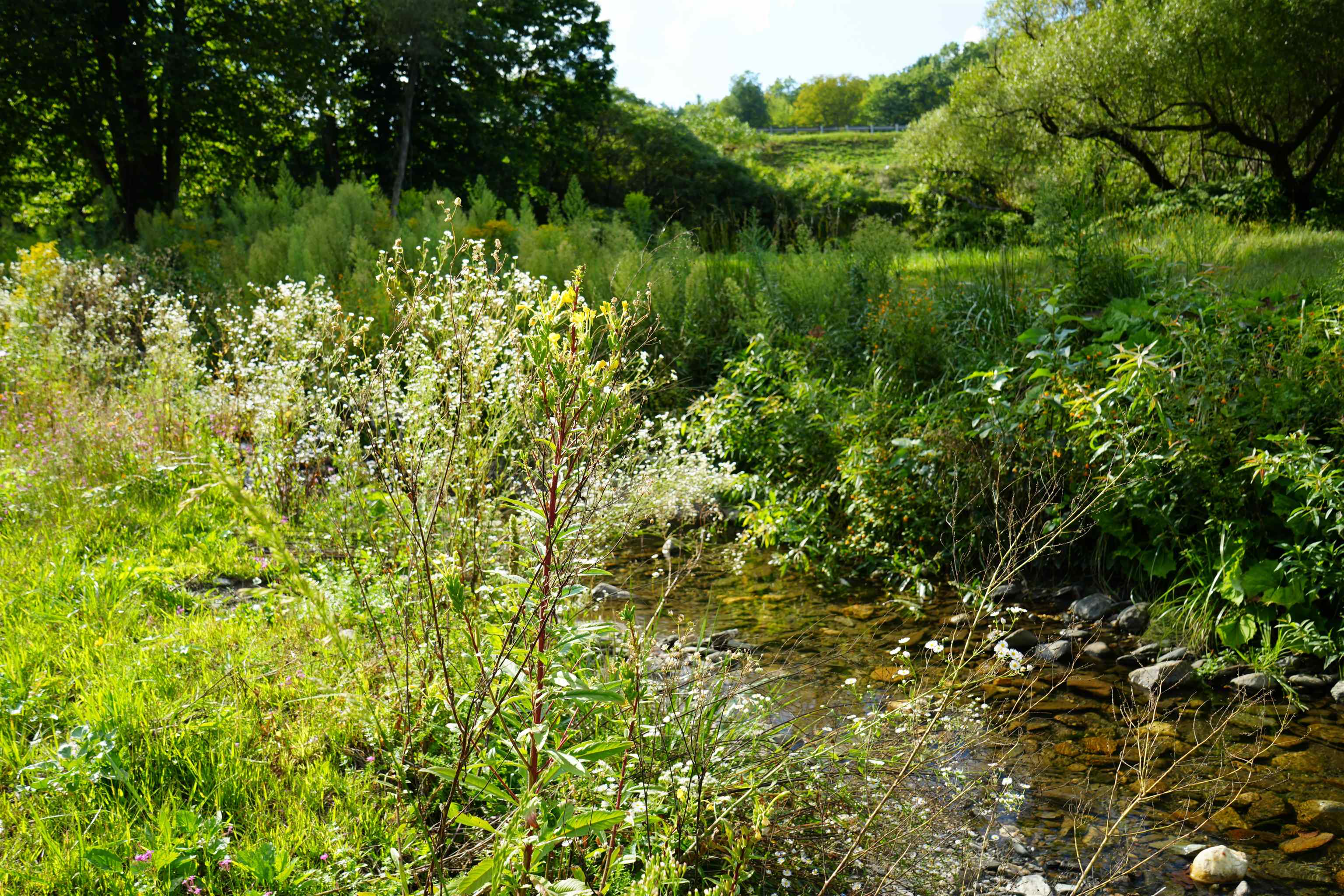 1268 County Road photo 2