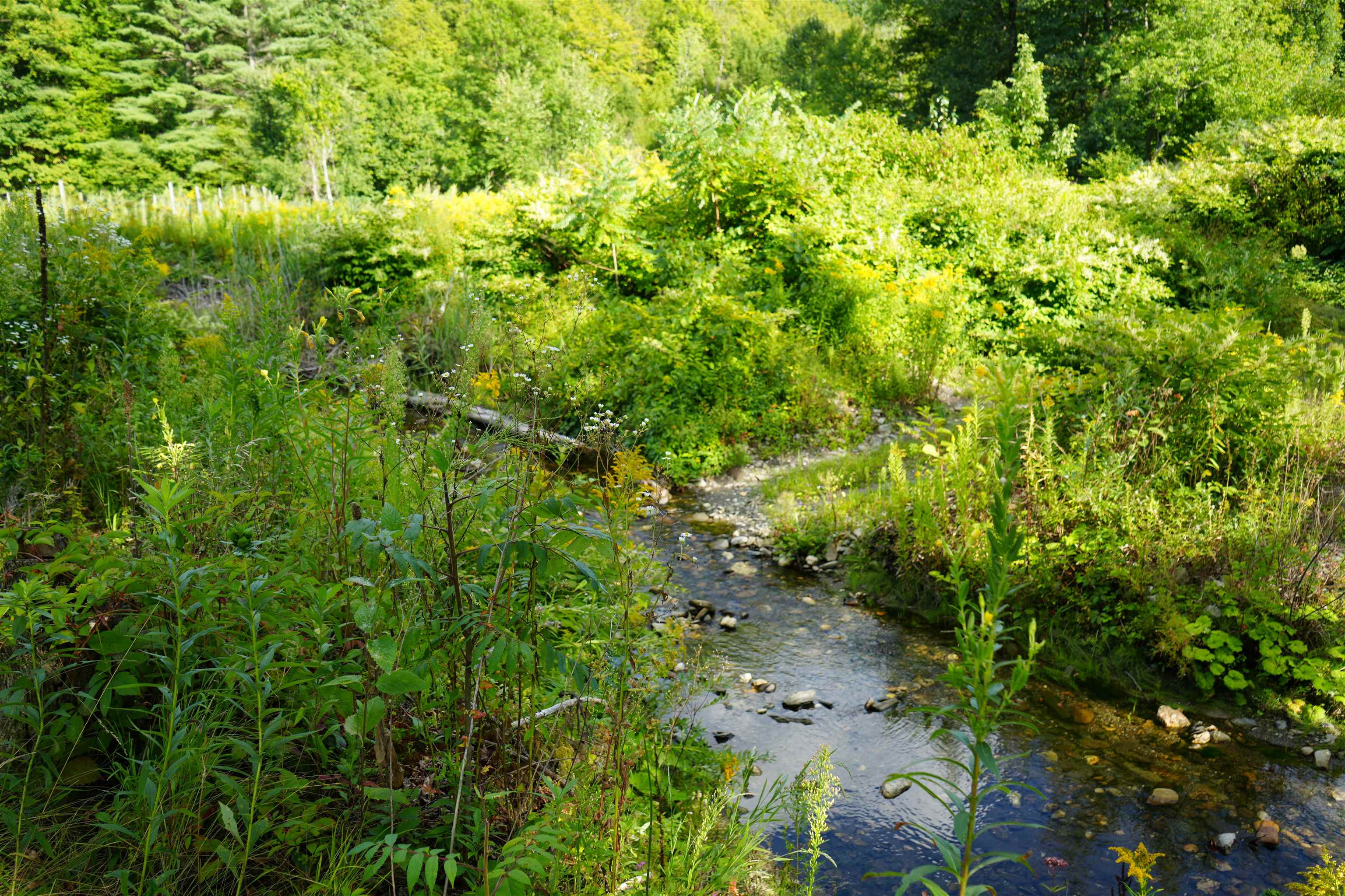 1268 County Road photo 20