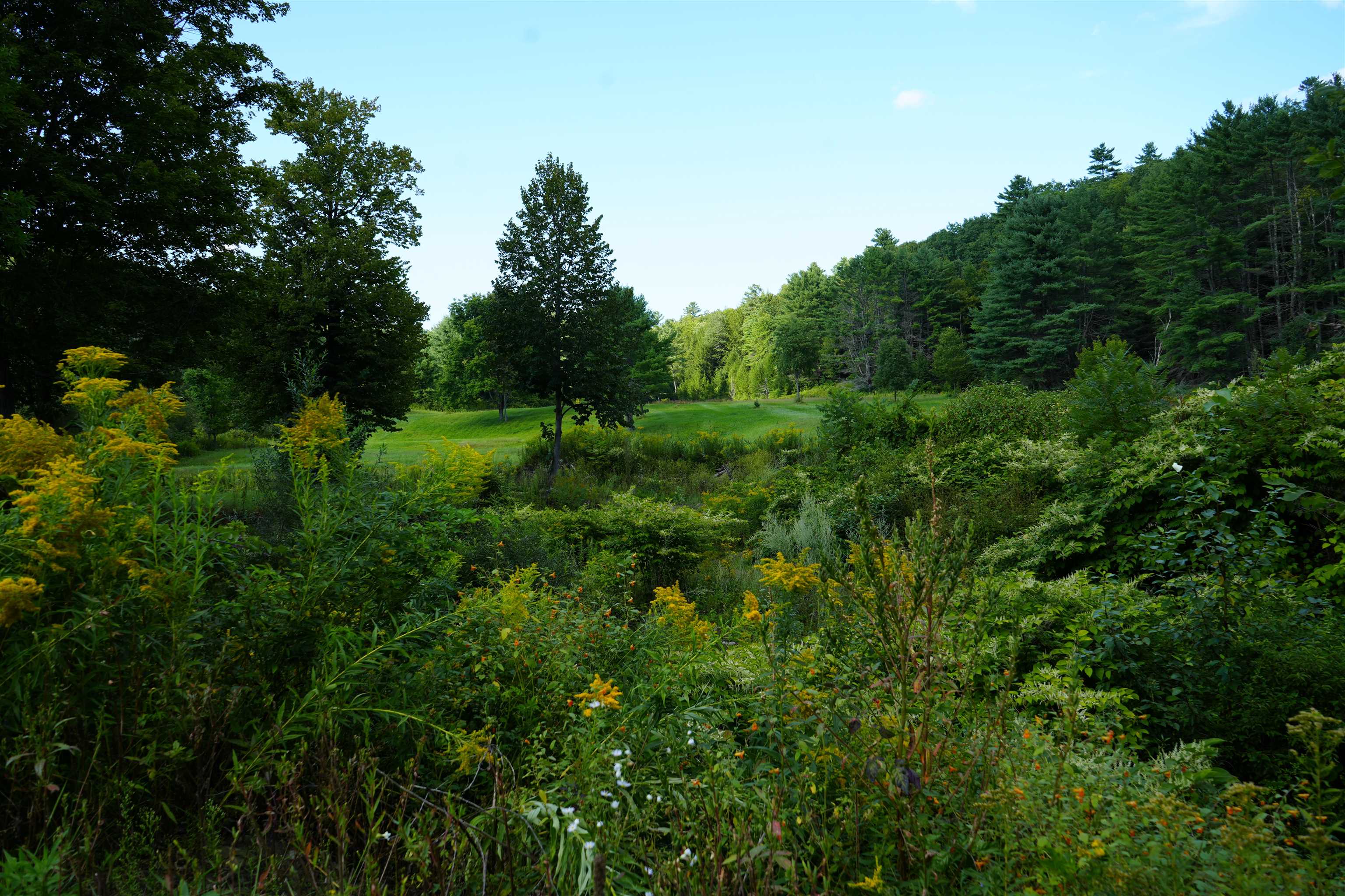 1268 County Road photo 5