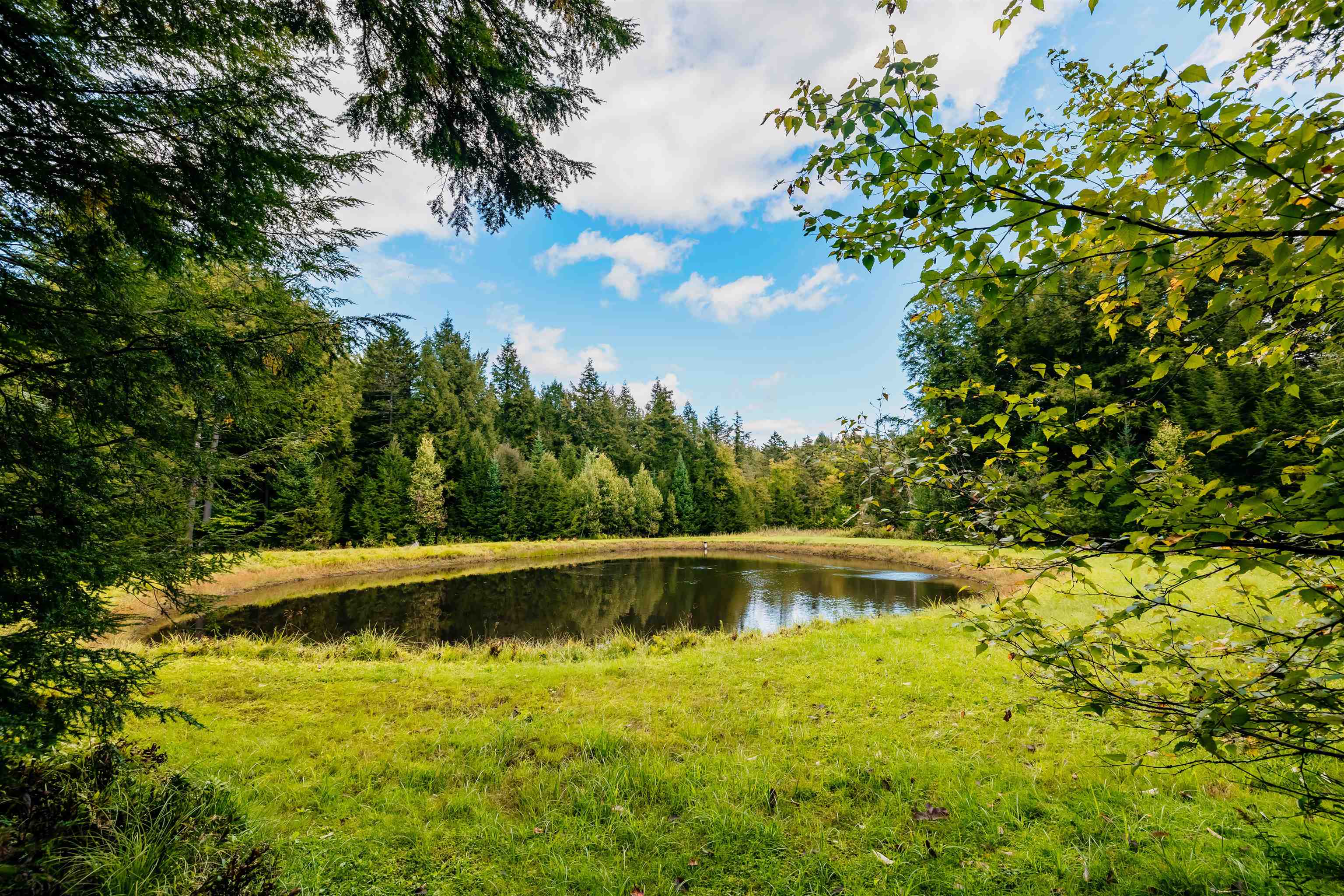 7060 Elmore Mountain Road Morristown, VT 05661 MLS 4887111 Pall