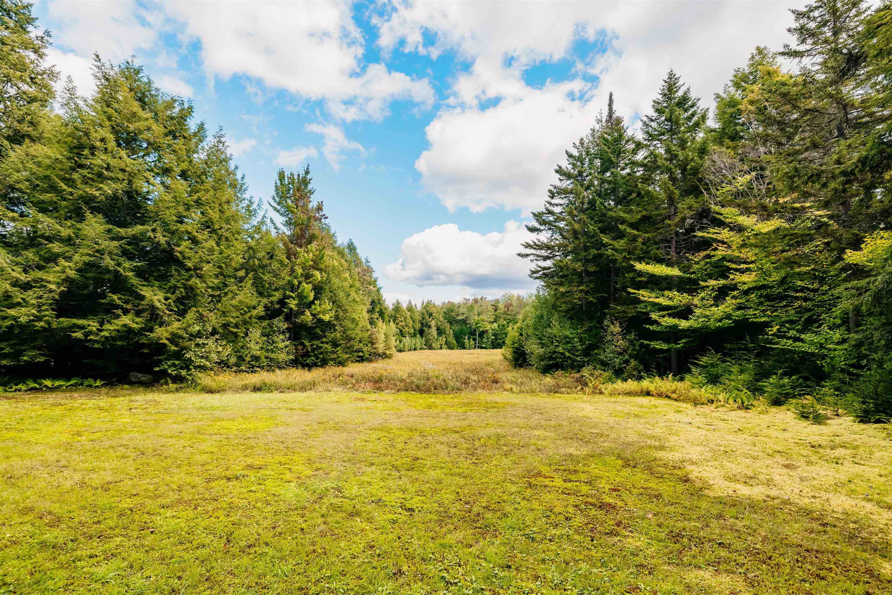 7060 Elmore Mountain Road Morristown, VT 05661 MLS 4887111 Pall