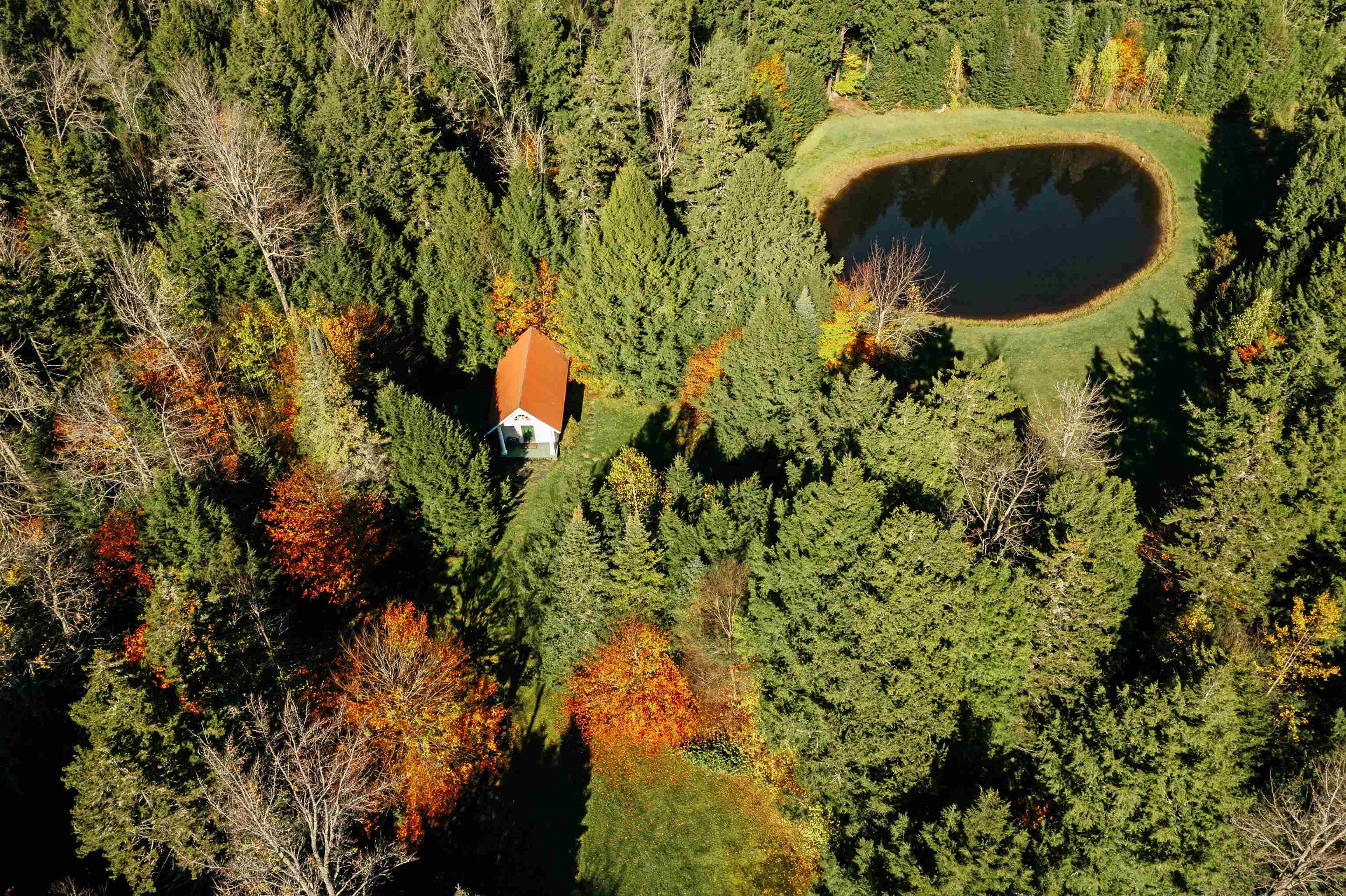 7060 Elmore Mountain Road Morristown, VT 05661 MLS 4887111 Pall