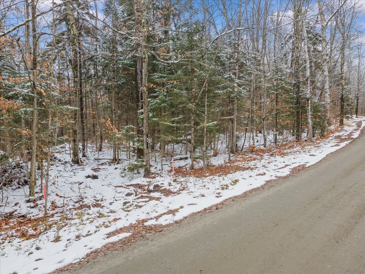 93 White Birch Road photo 12