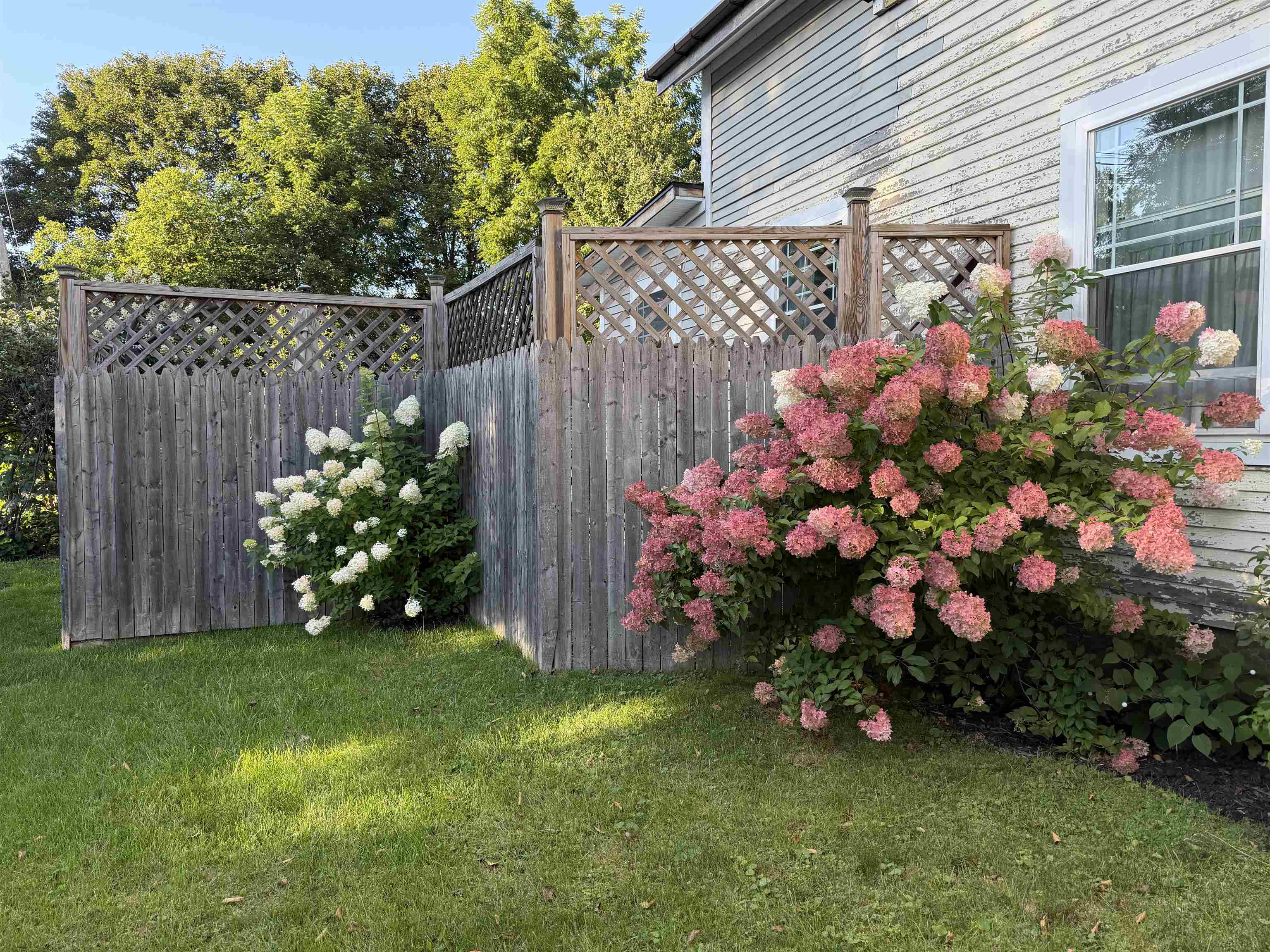 59 Jackson Avenue photo 21