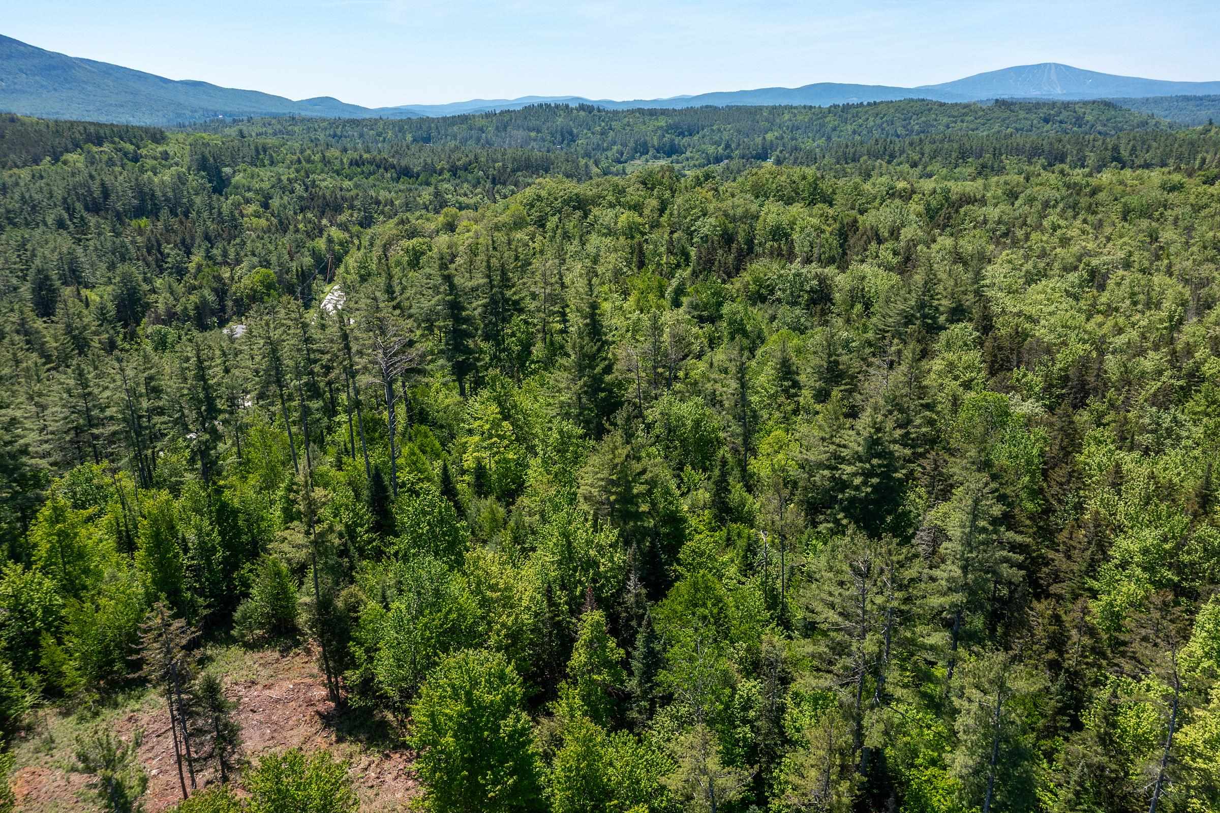 0 VT Route 100 photo 7