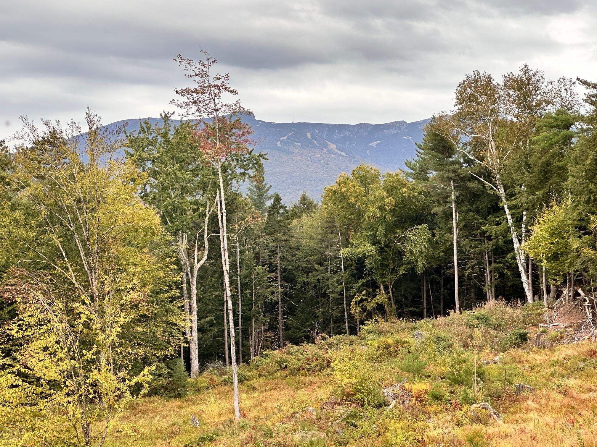 2364 mountain Road photo 1