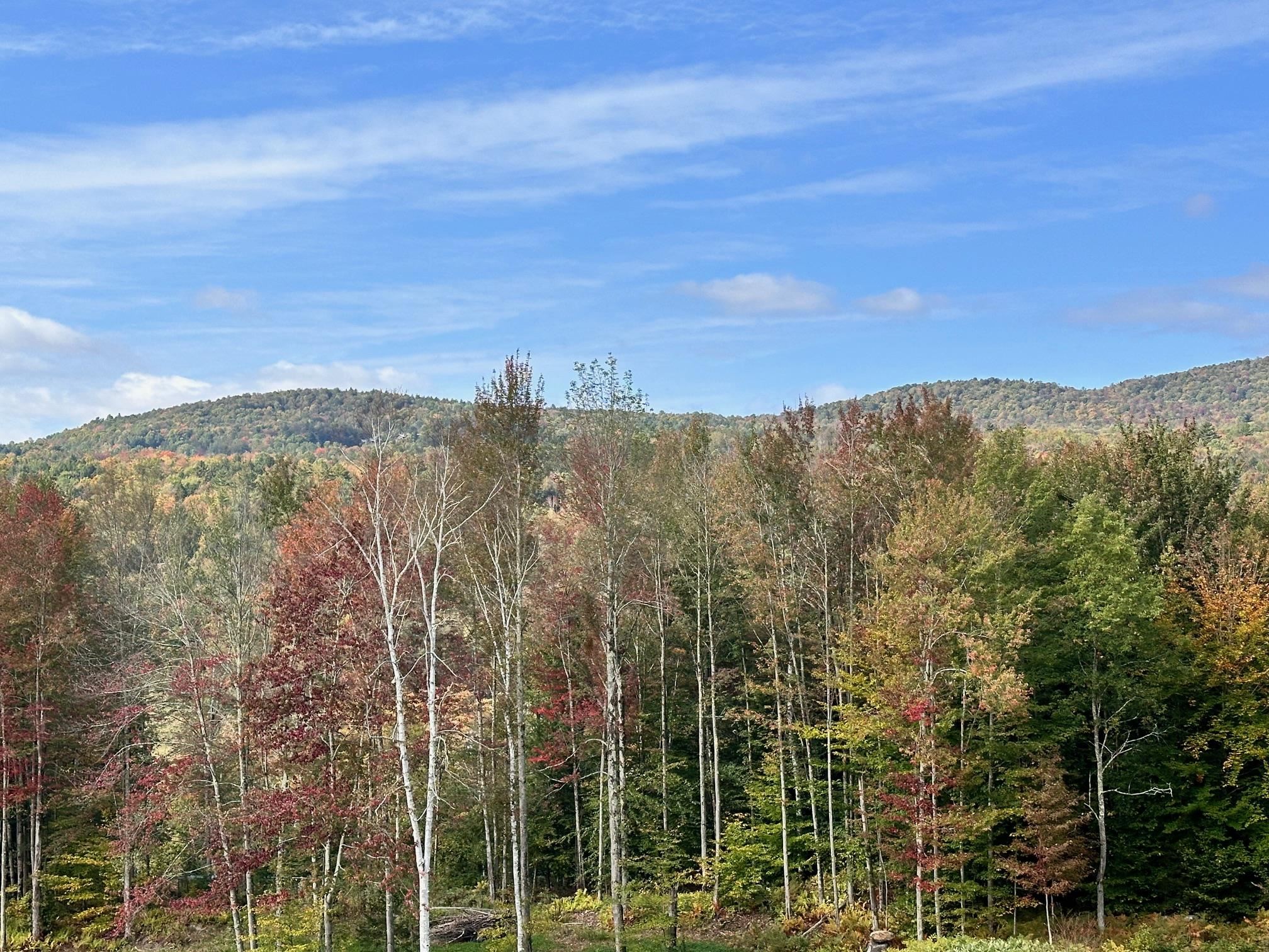2364 mountain Road photo 2