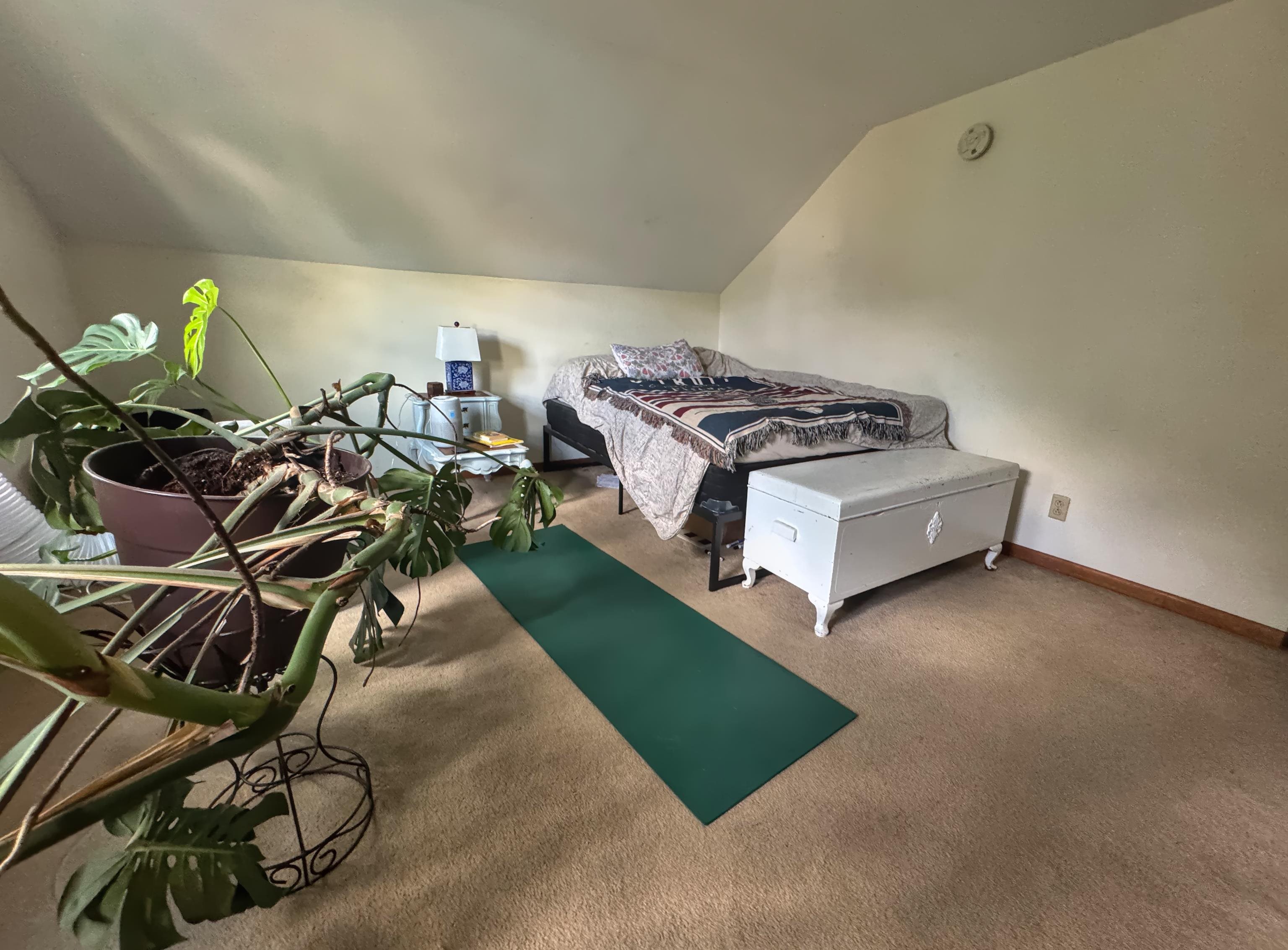 220 Gage Street photo 29