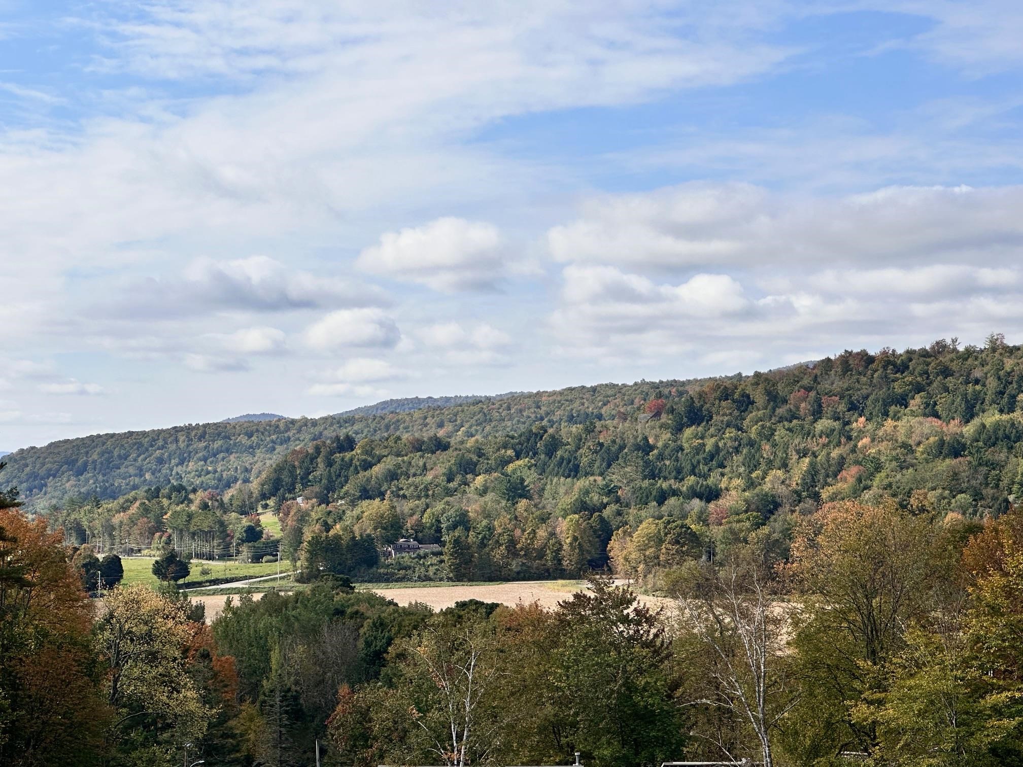 2364 mountain Road photo 3