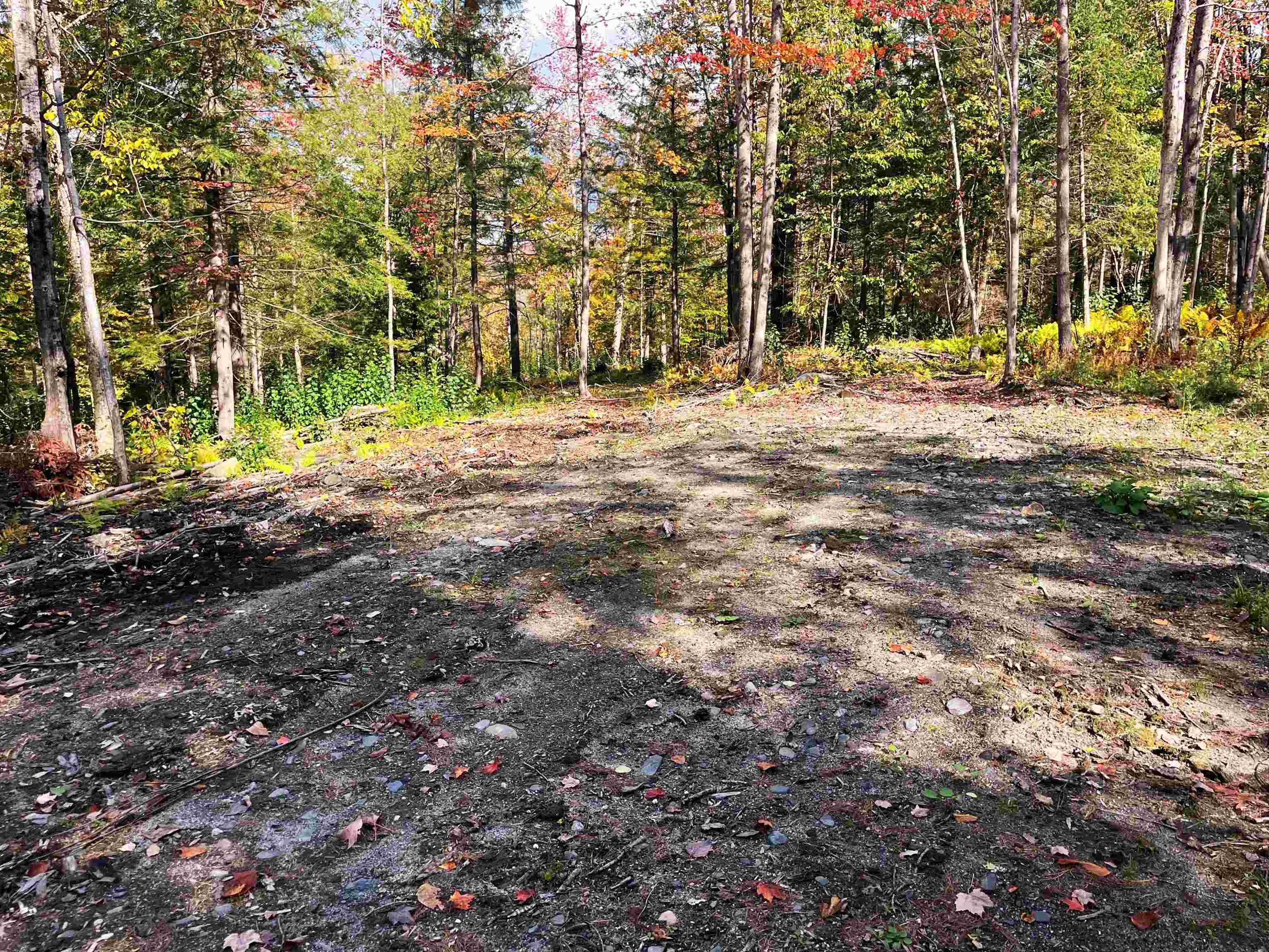 near 0 South Barton Road Barton, VT 05822 Property 4