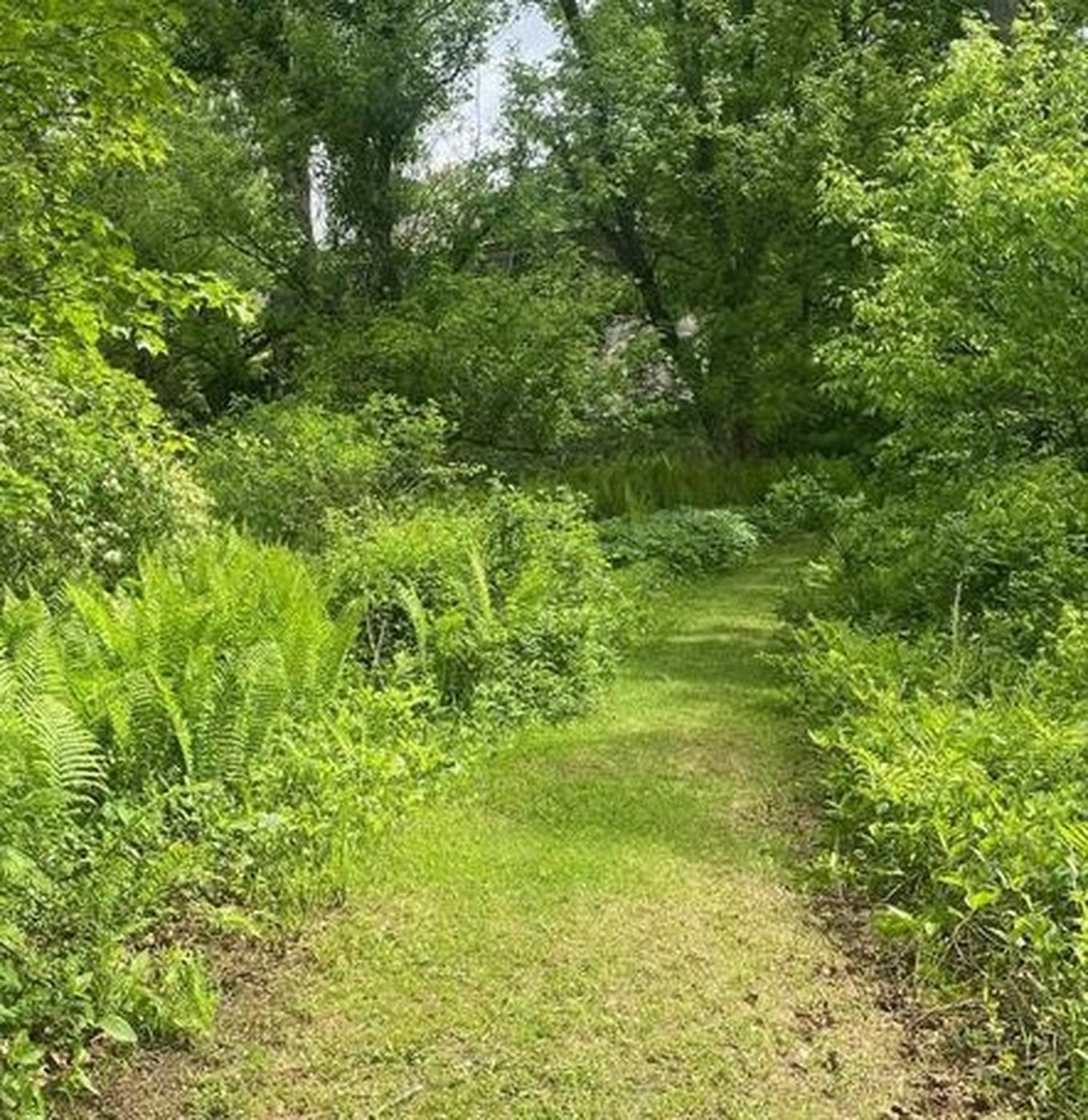 1254 VT Route 5 photo 11