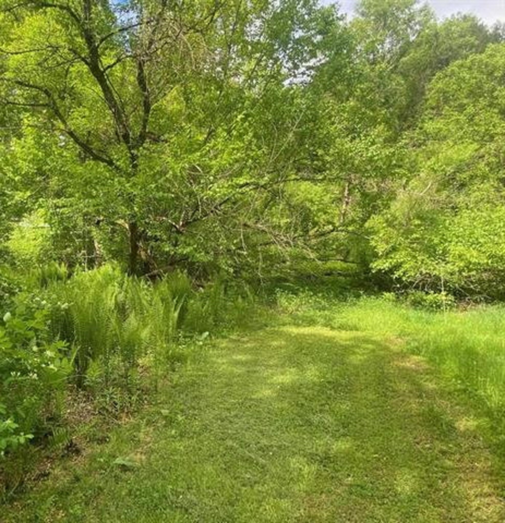 1254 VT Route 5 photo 12