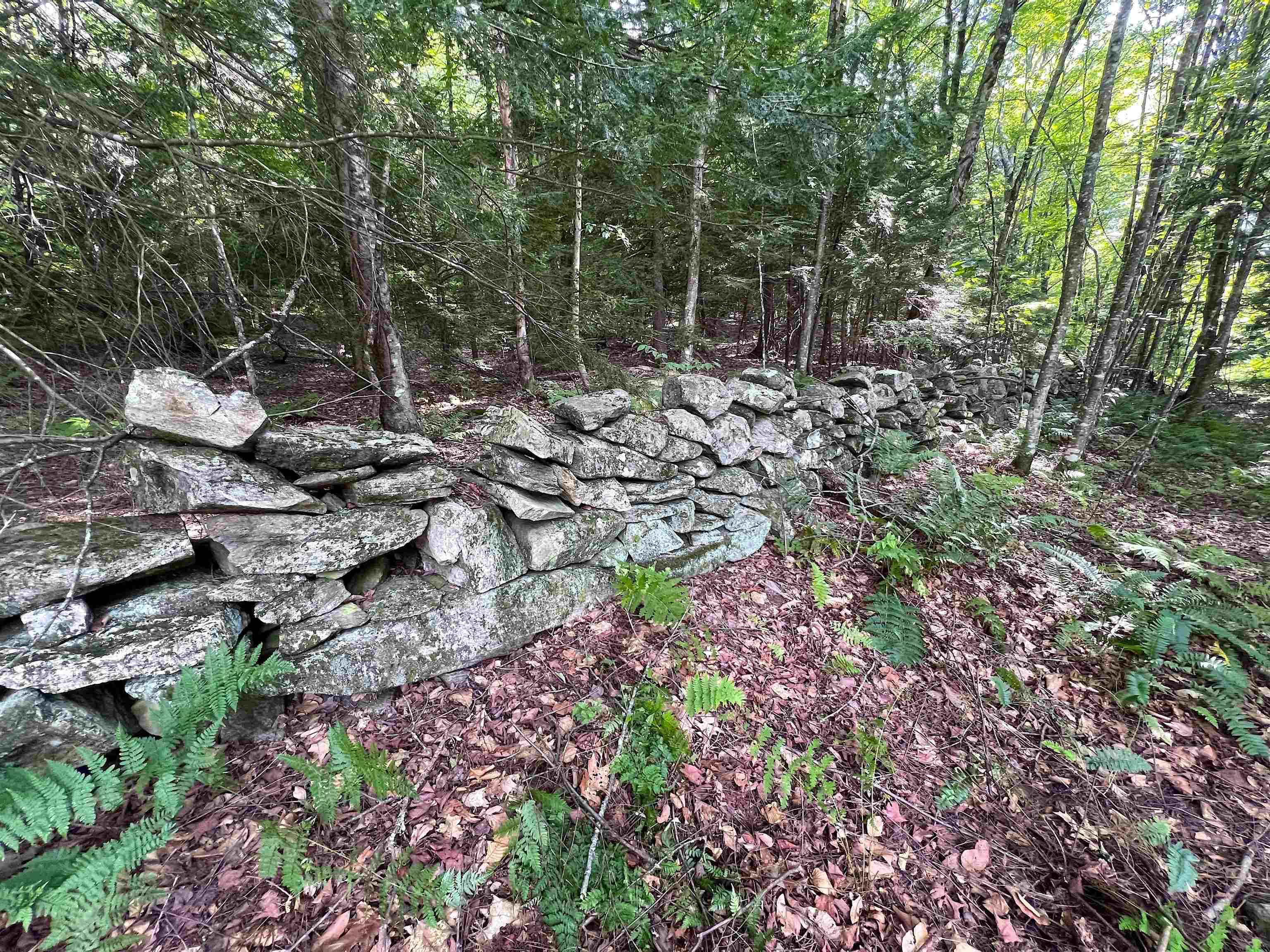 302 Davidson Hill Road photo 28