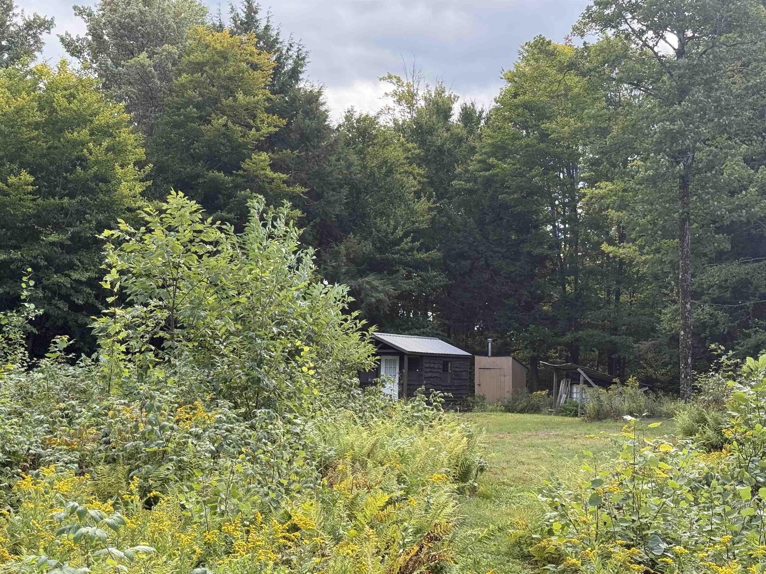 404 Woodland Drive photo 3