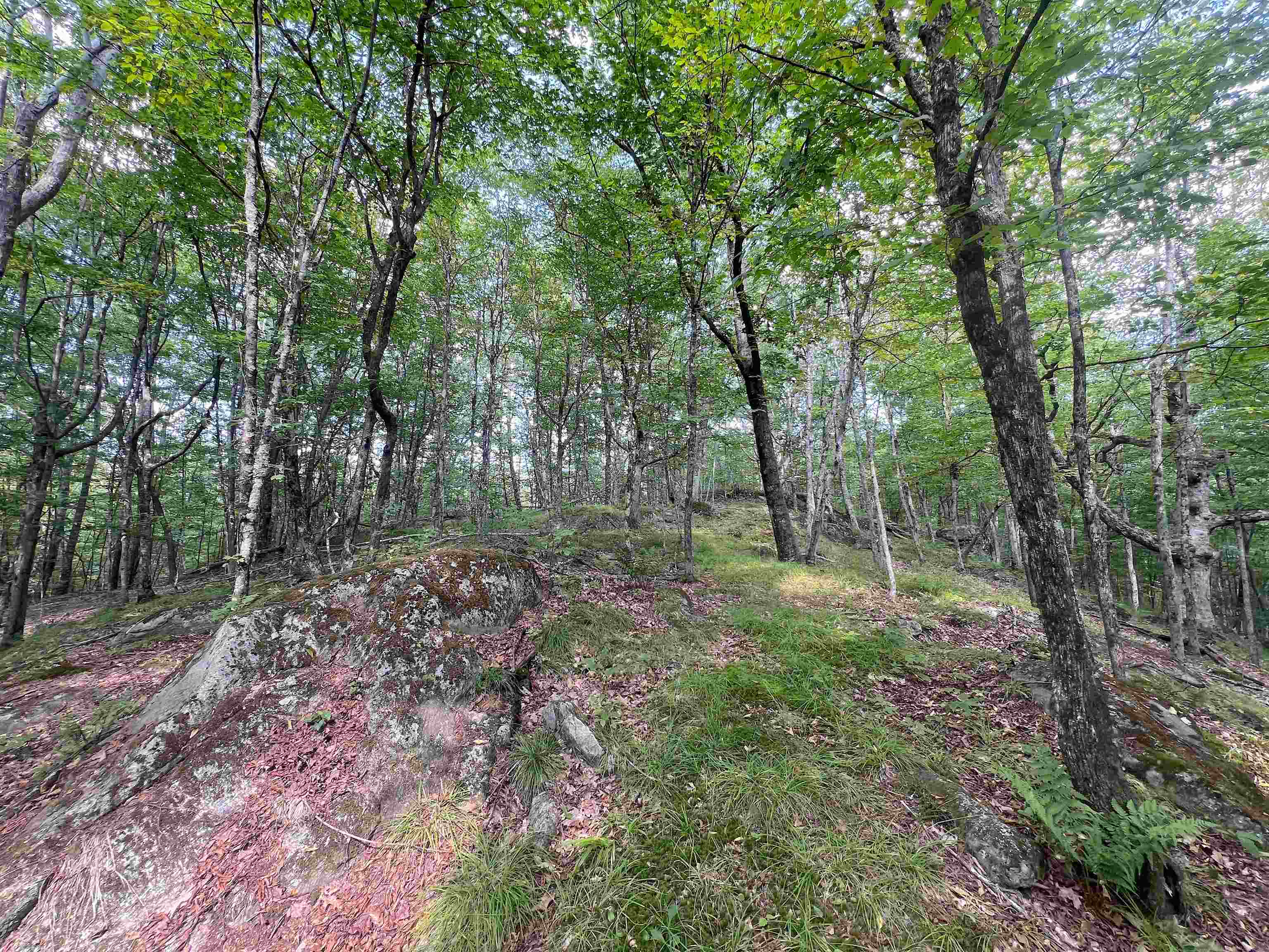 302 Davidson Hill Road photo 31