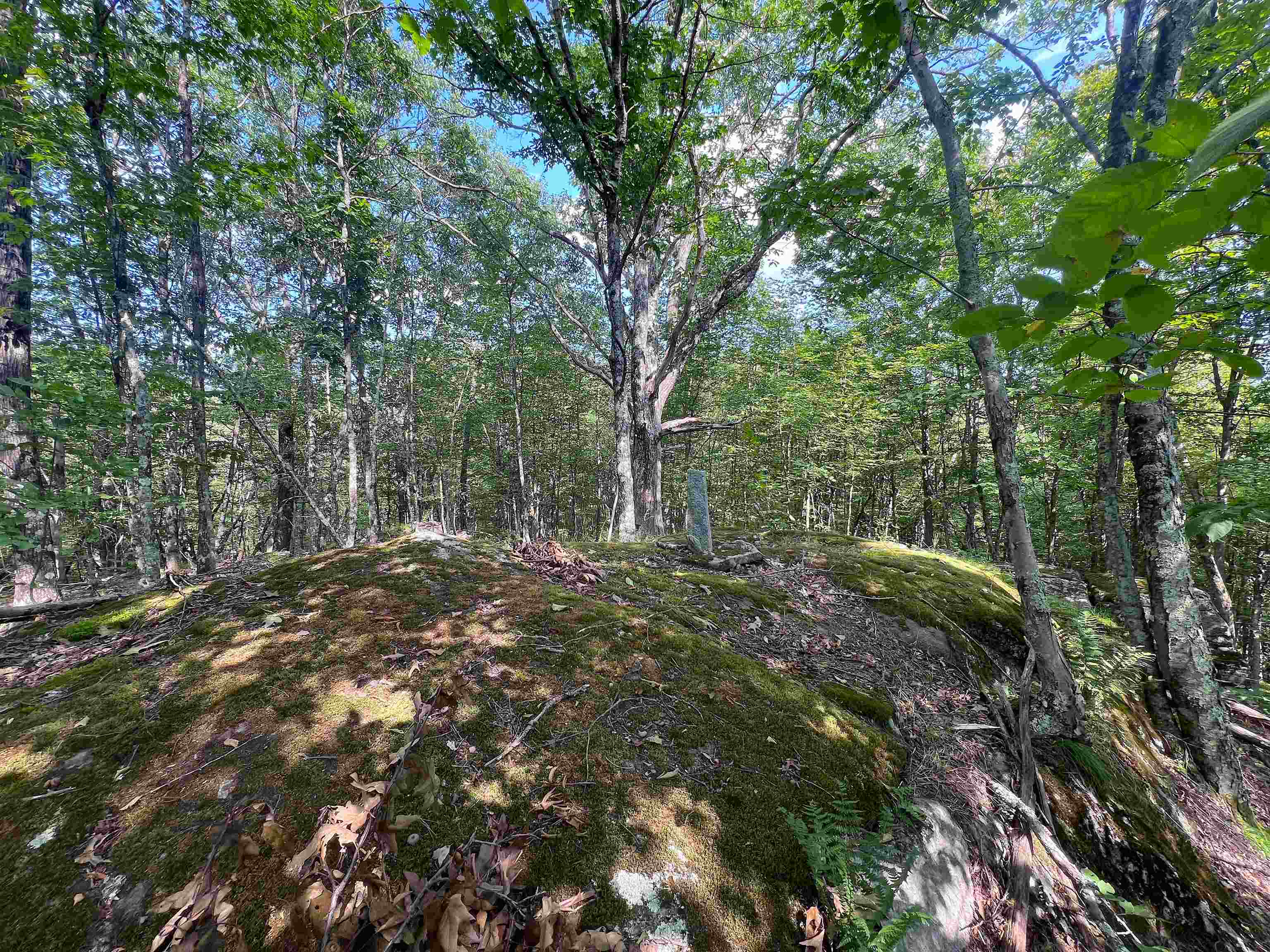 302 Davidson Hill Road photo 32